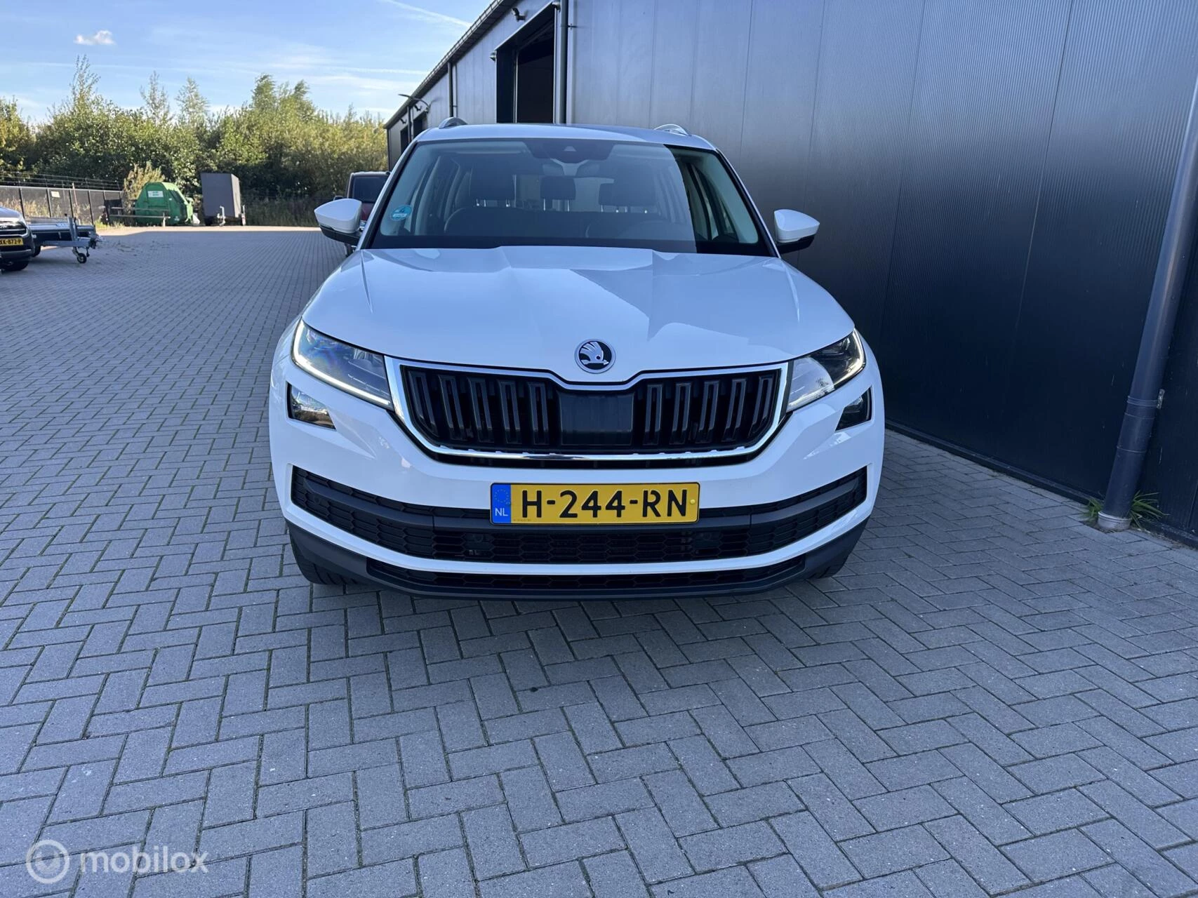 Hoofdafbeelding Škoda Kodiaq