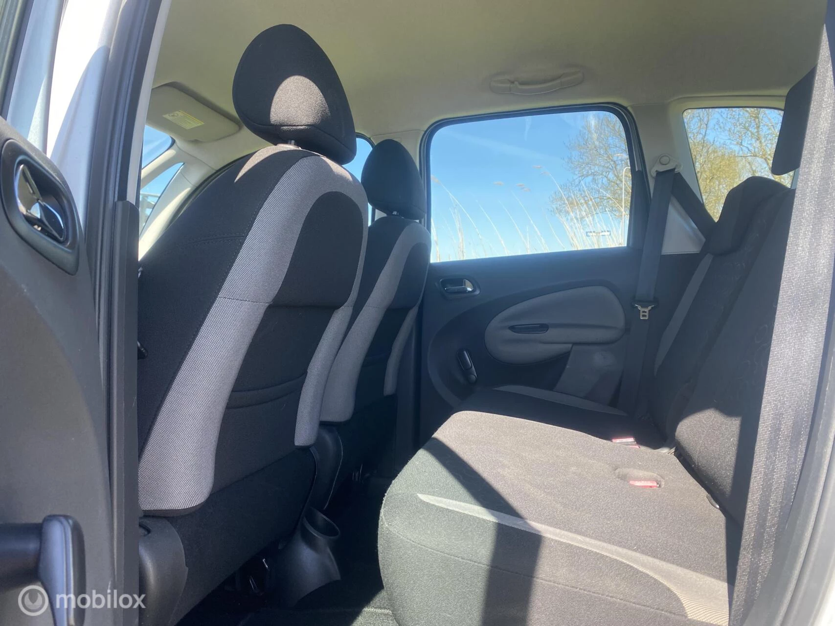 Hoofdafbeelding Citroën C3 Picasso