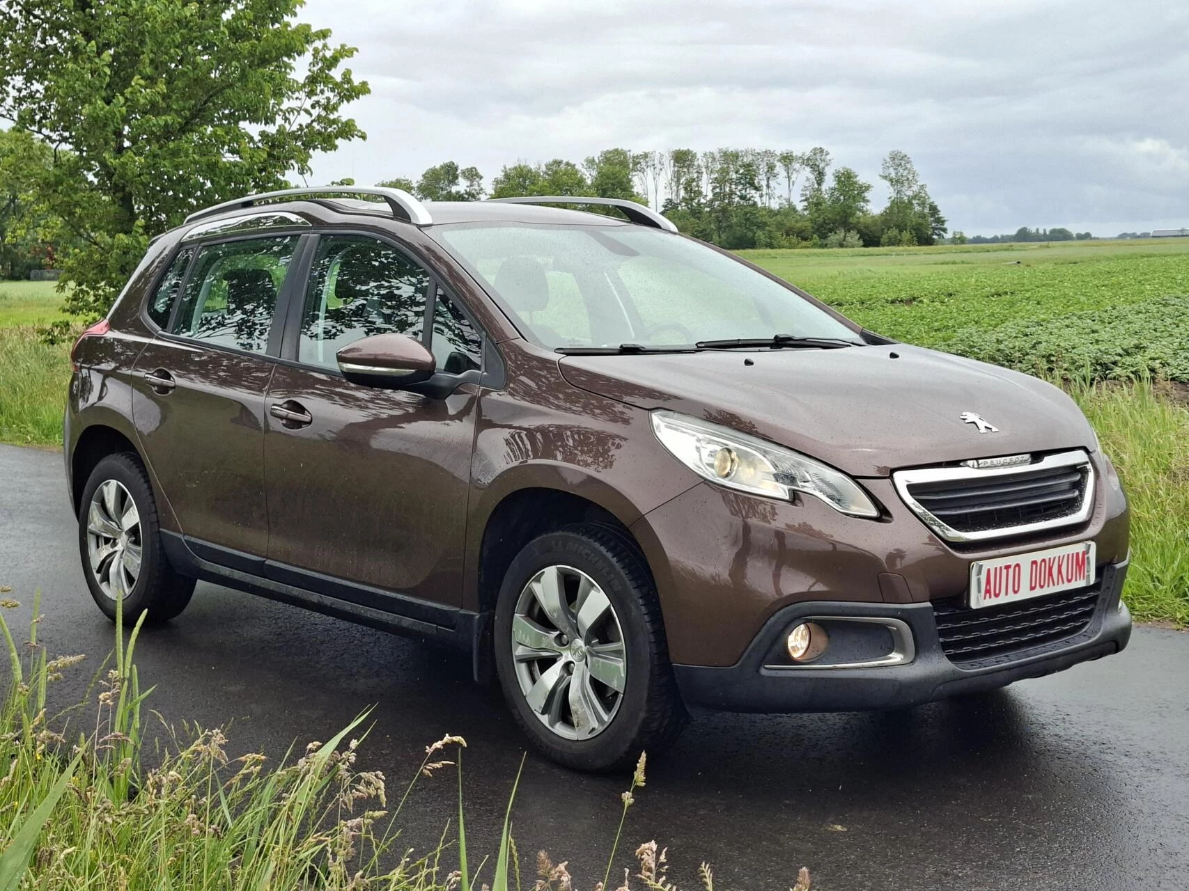 Hoofdafbeelding Peugeot 2008