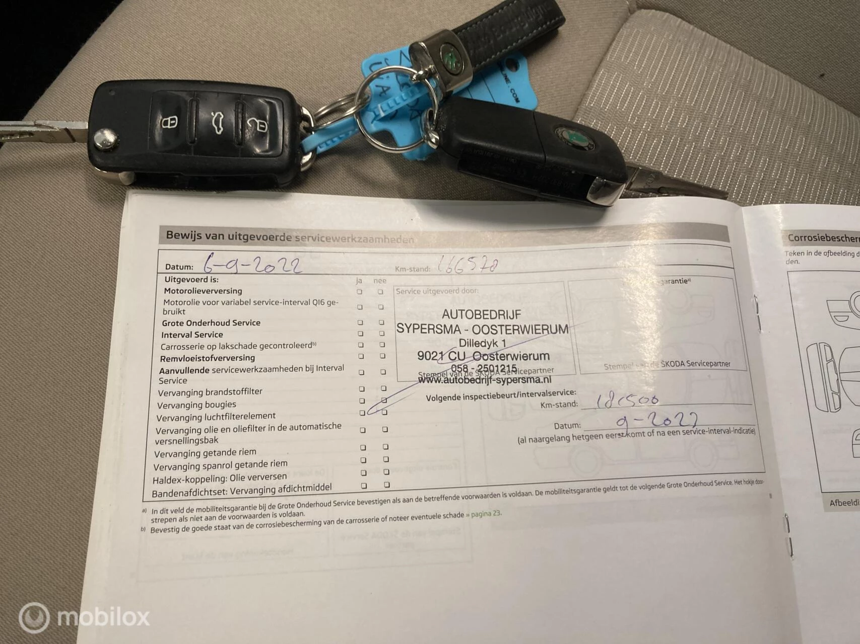 Hoofdafbeelding Škoda Octavia