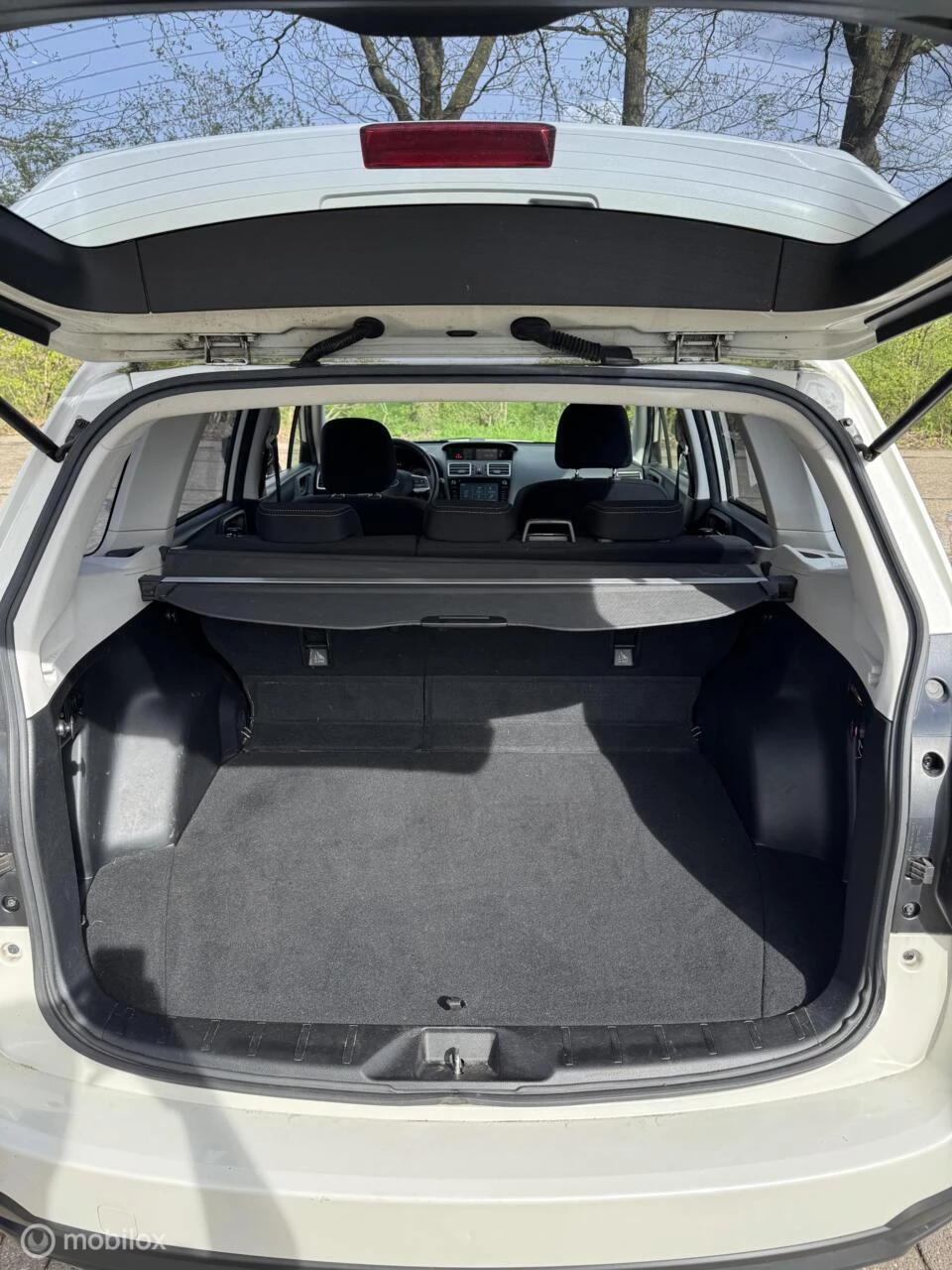 Hoofdafbeelding Subaru Forester