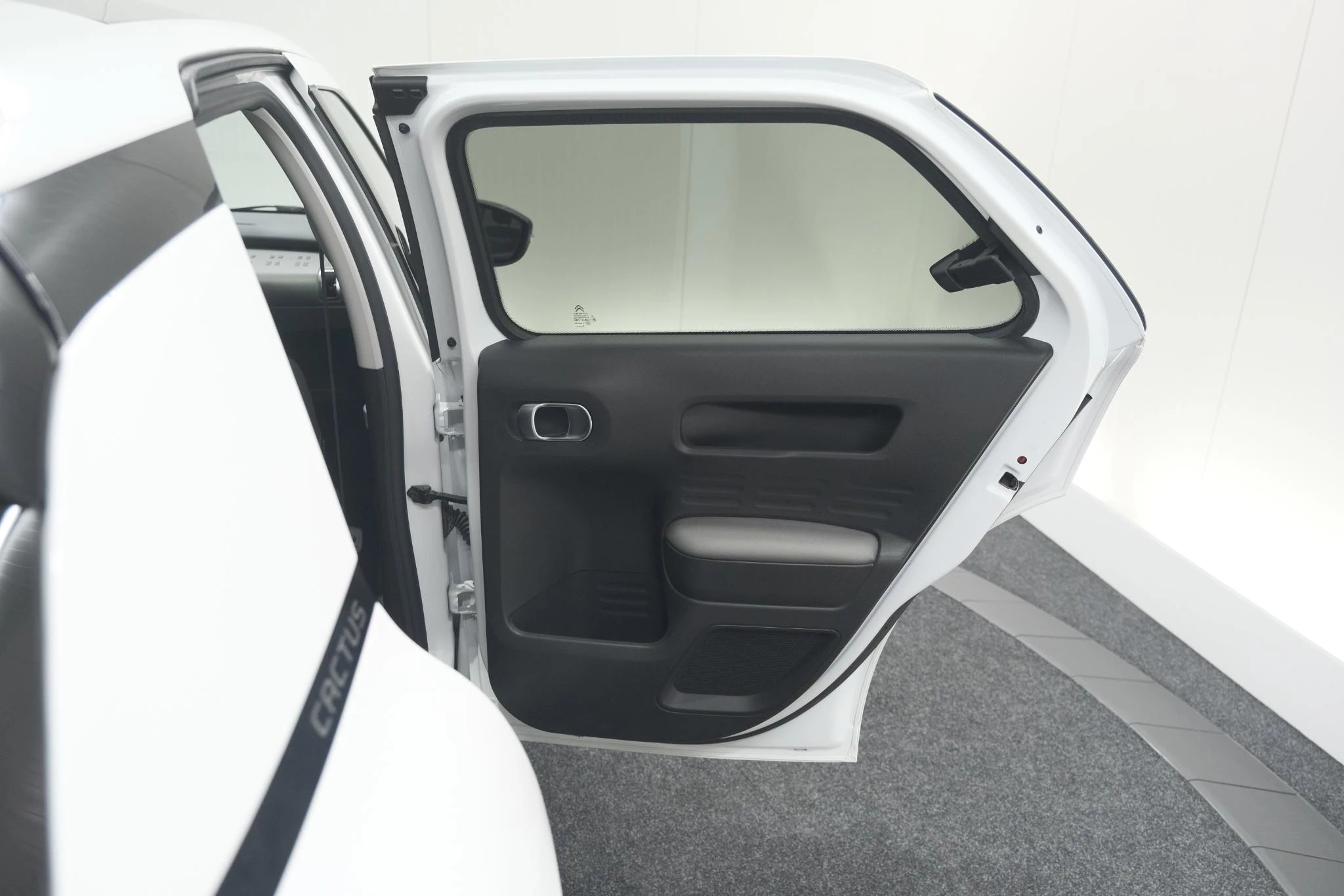 Hoofdafbeelding Citroën C4 Cactus