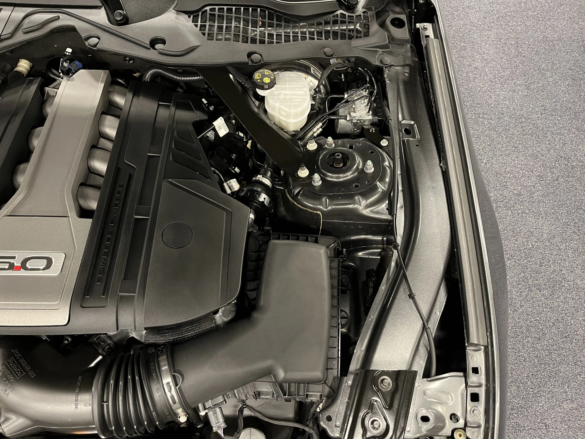 Hoofdafbeelding Ford Mustang