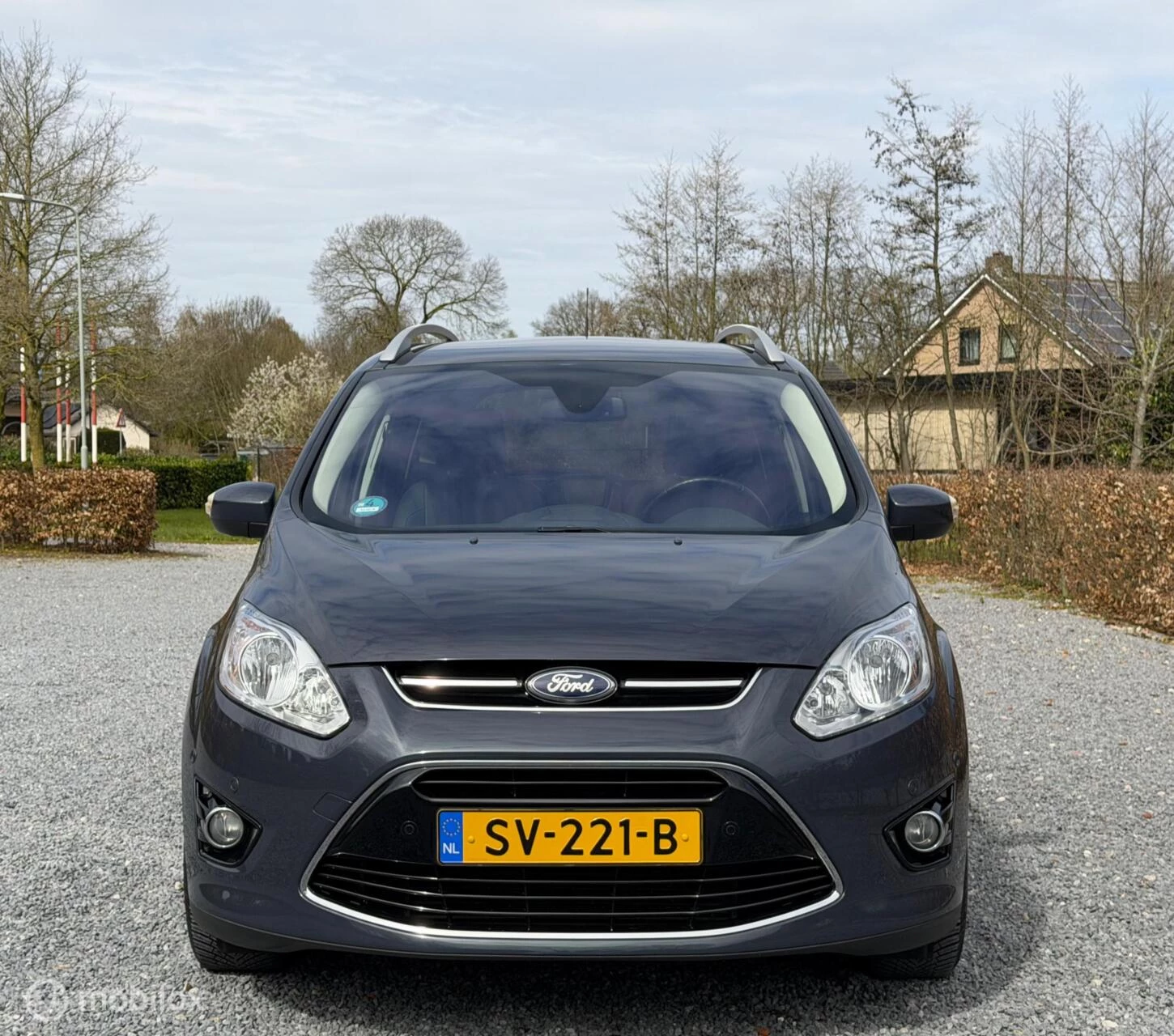 Hoofdafbeelding Ford Grand C-Max
