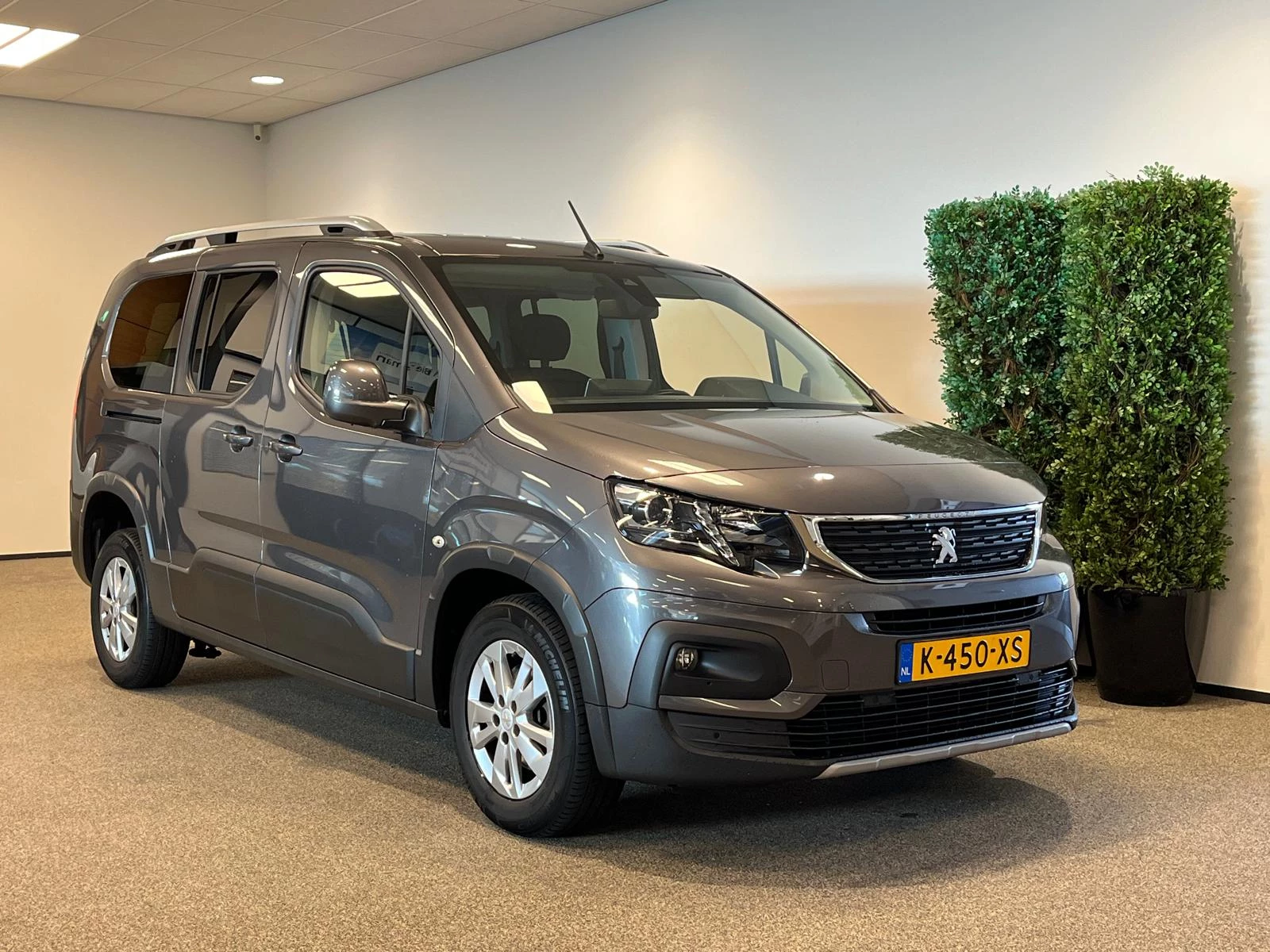 Hoofdafbeelding Peugeot Rifter