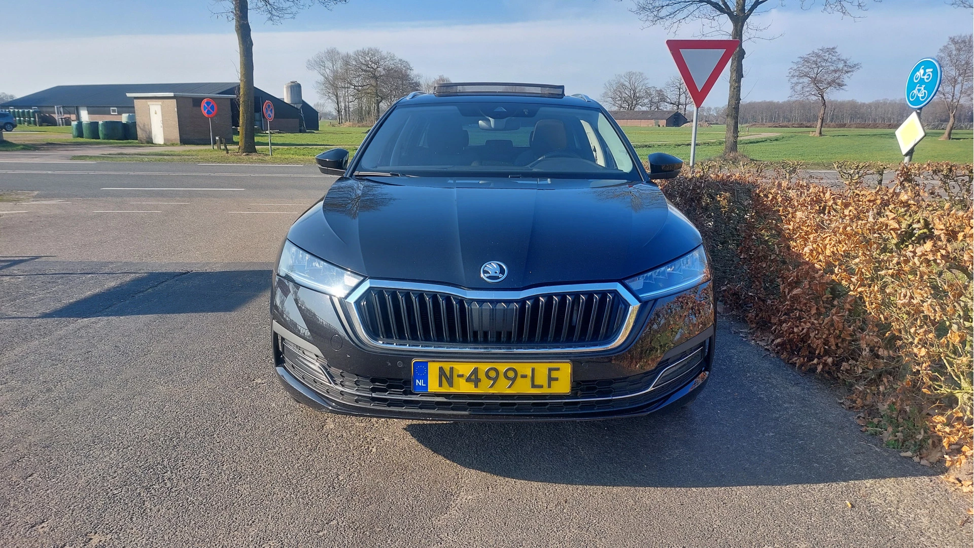 Hoofdafbeelding Škoda Octavia