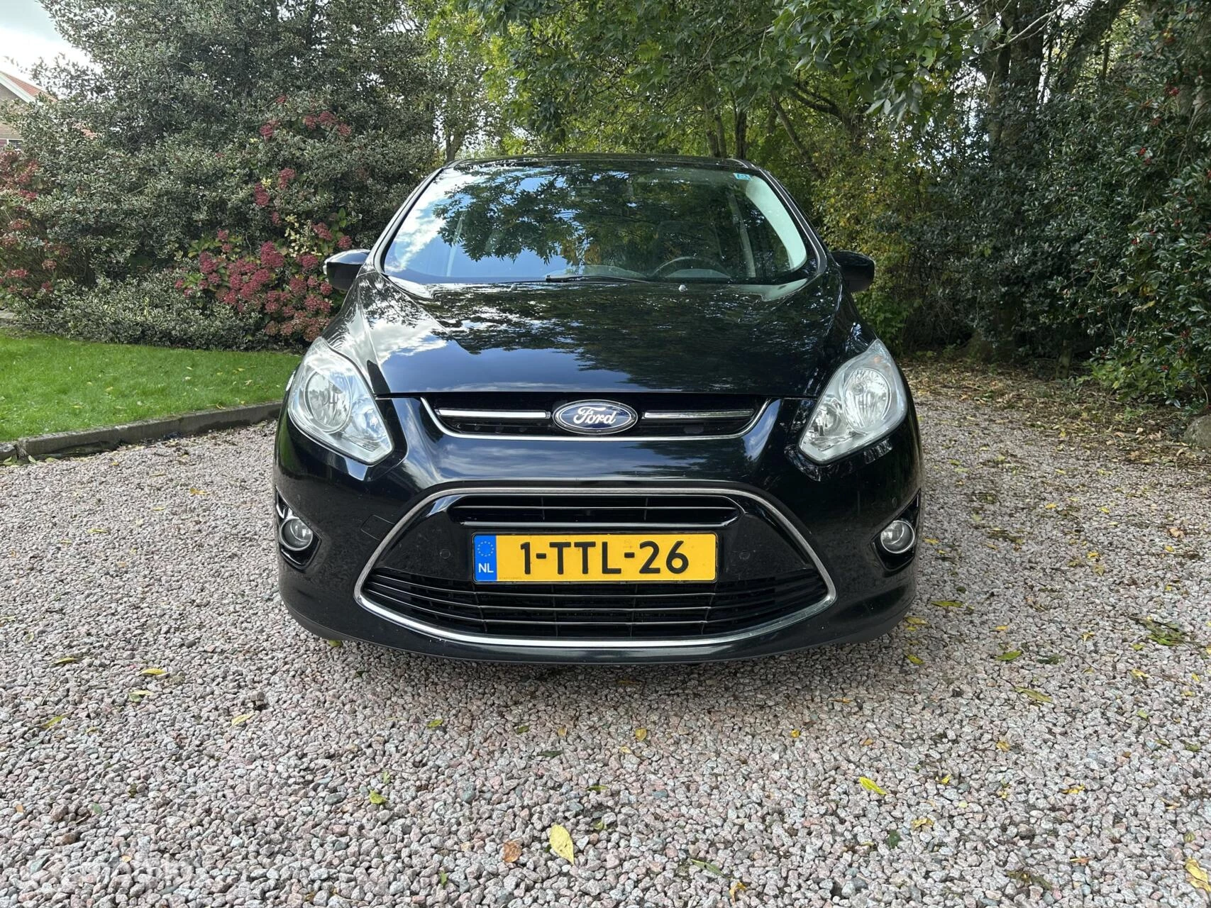 Hoofdafbeelding Ford C-MAX