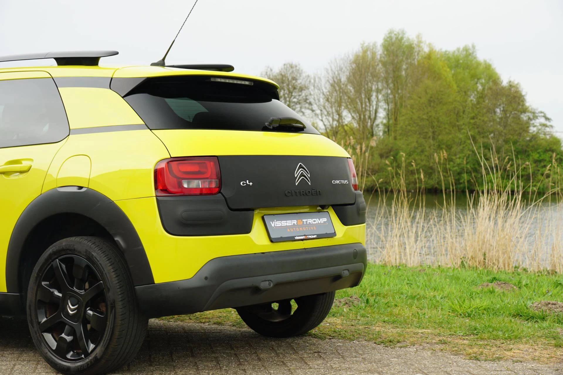 Hoofdafbeelding Citroën C4 Cactus