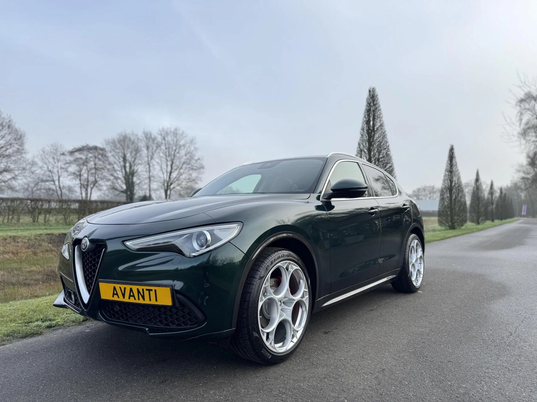 Hoofdafbeelding Alfa Romeo Stelvio