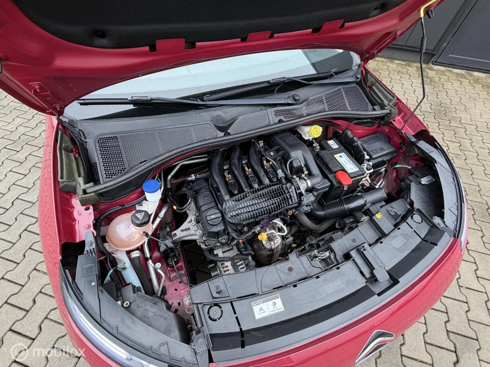 Hoofdafbeelding Citroën C4 Cactus