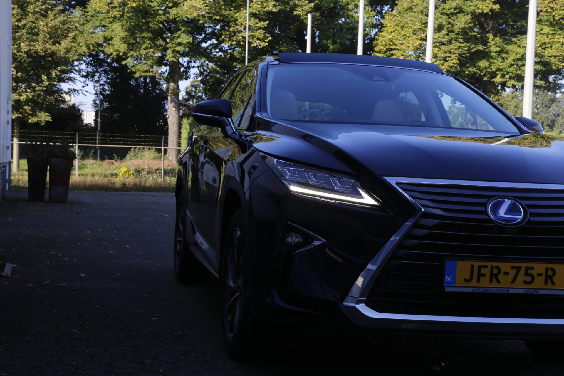 Hoofdafbeelding Lexus RX