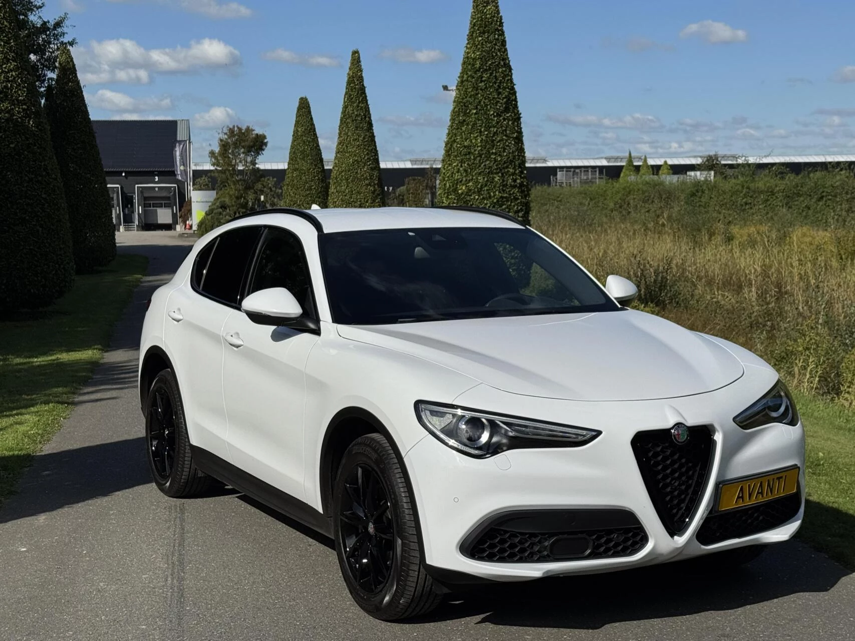 Hoofdafbeelding Alfa Romeo Stelvio