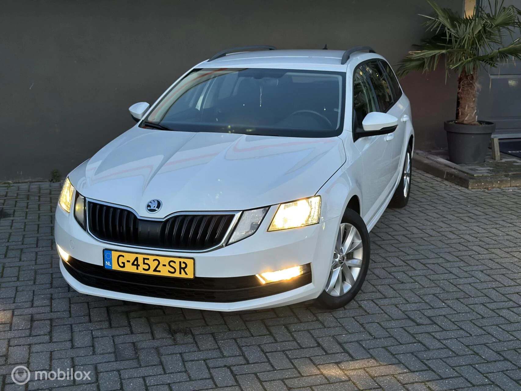 Hoofdafbeelding Škoda Octavia