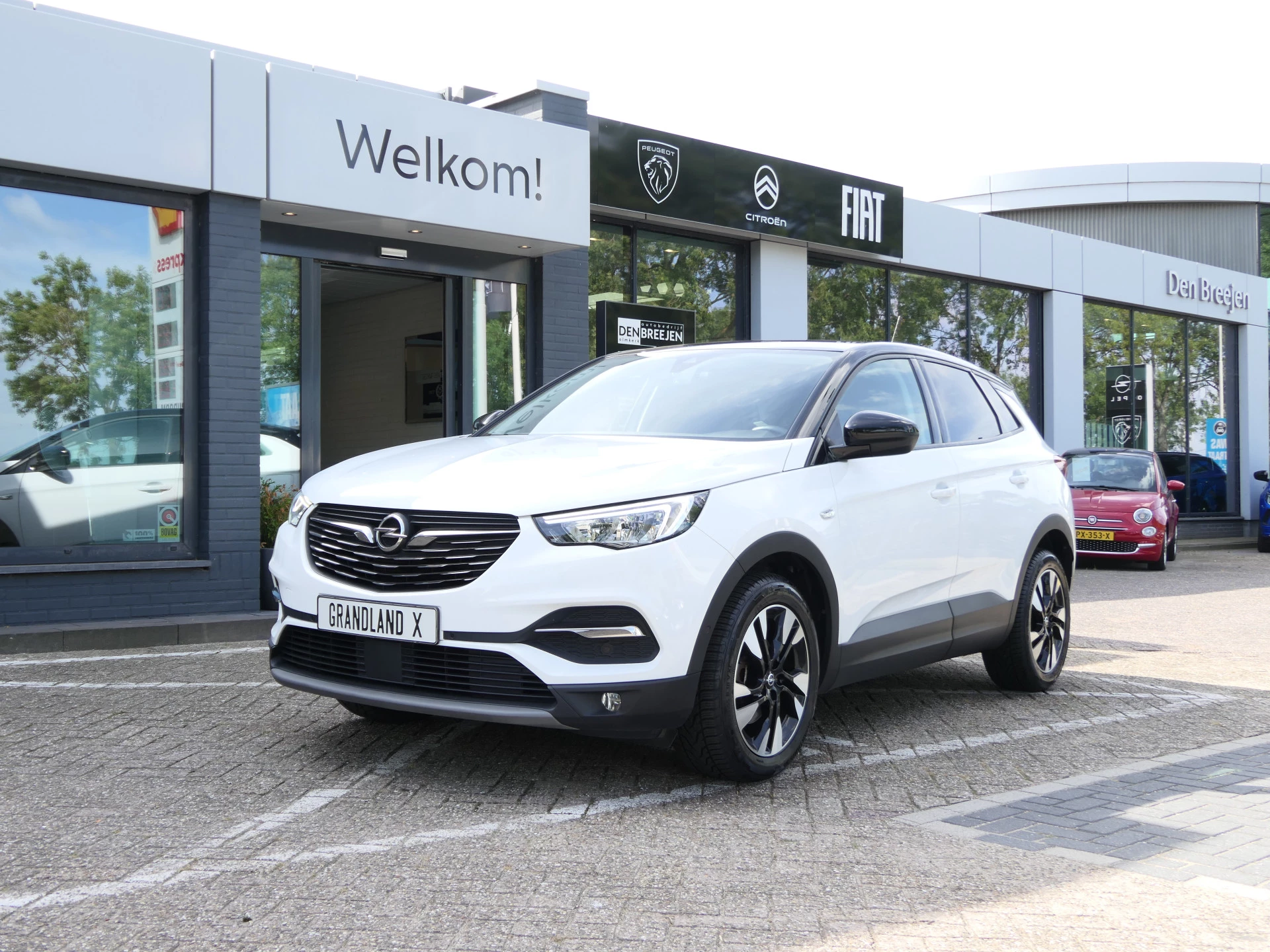 Hoofdafbeelding Opel Grandland X