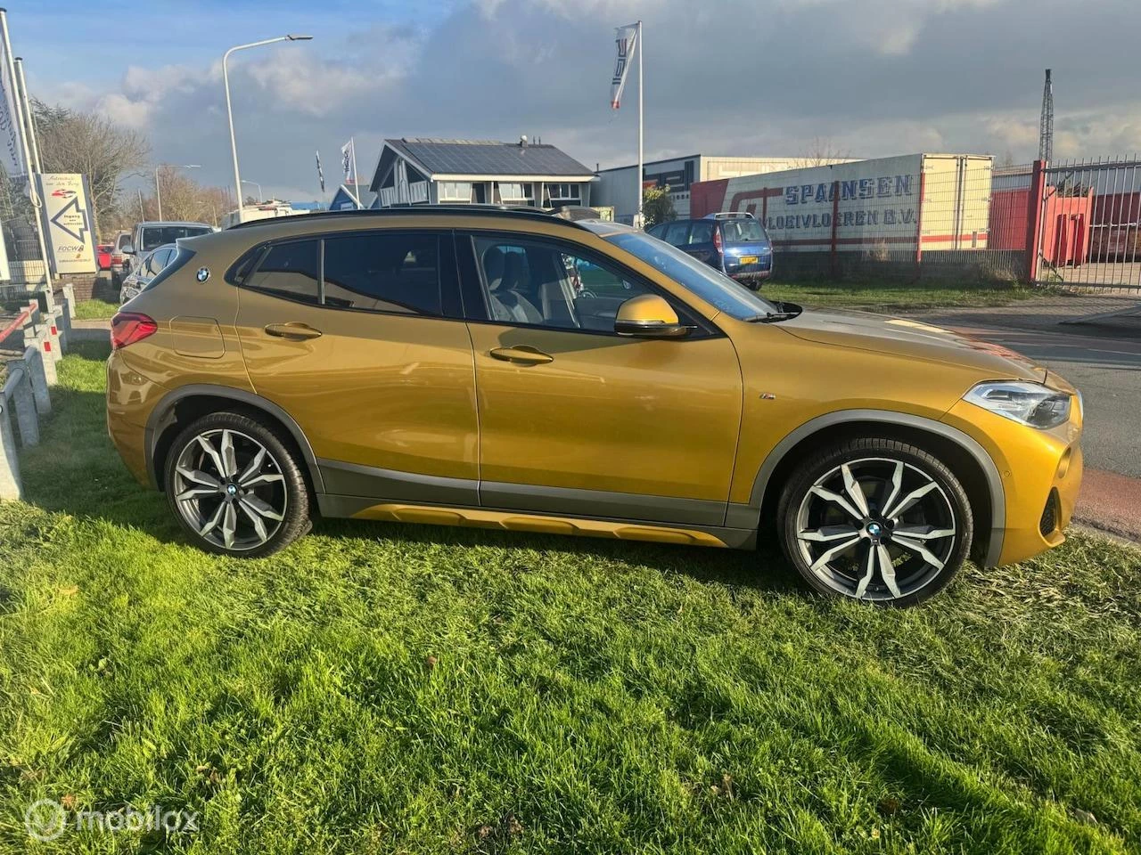 Hoofdafbeelding BMW X2