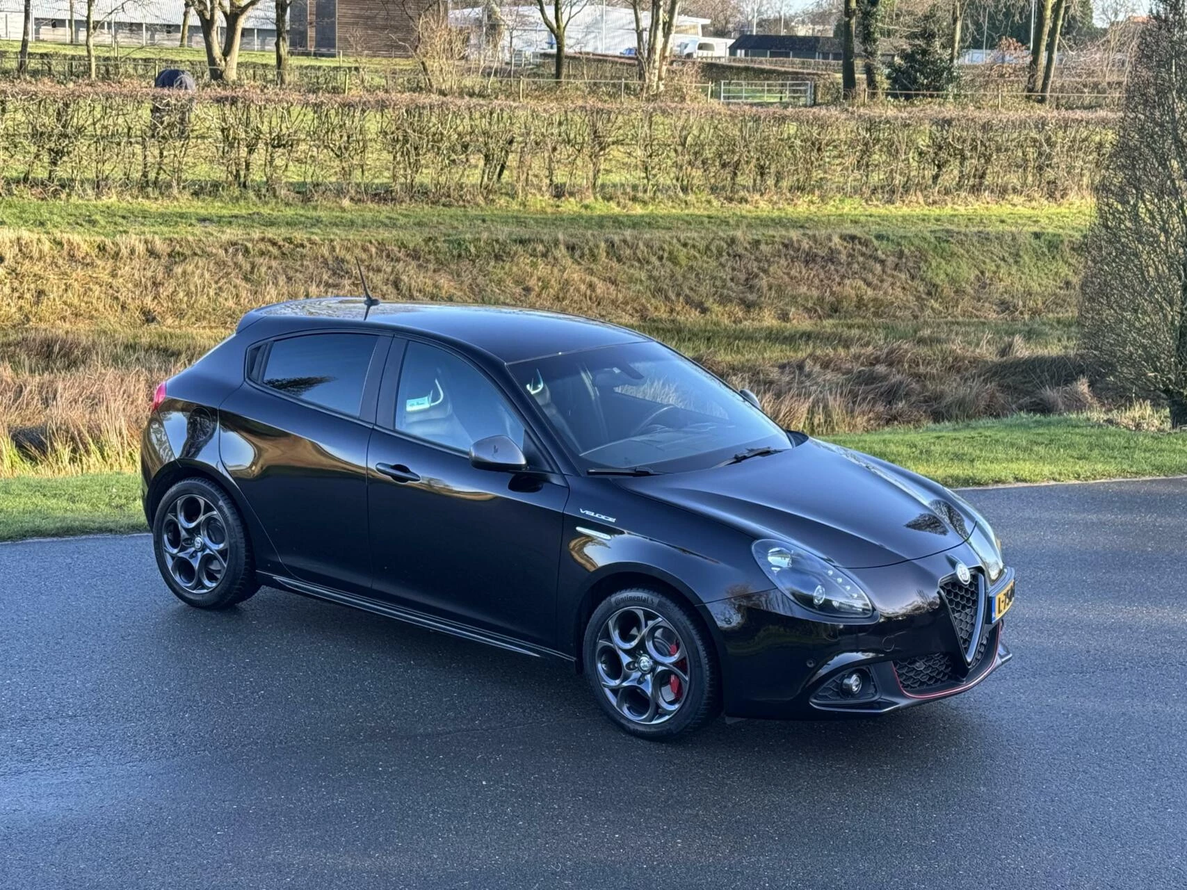 Hoofdafbeelding Alfa Romeo Giulietta