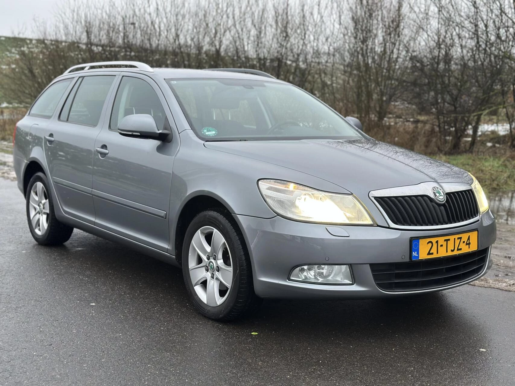 Hoofdafbeelding Škoda Octavia