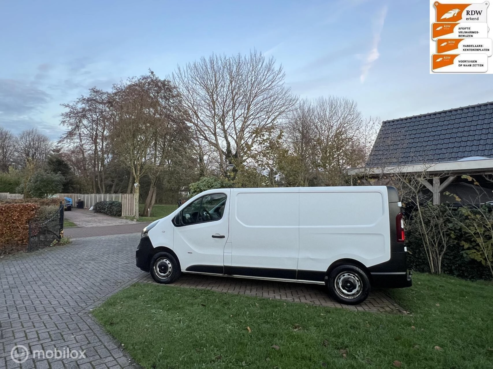 Hoofdafbeelding Opel Vivaro