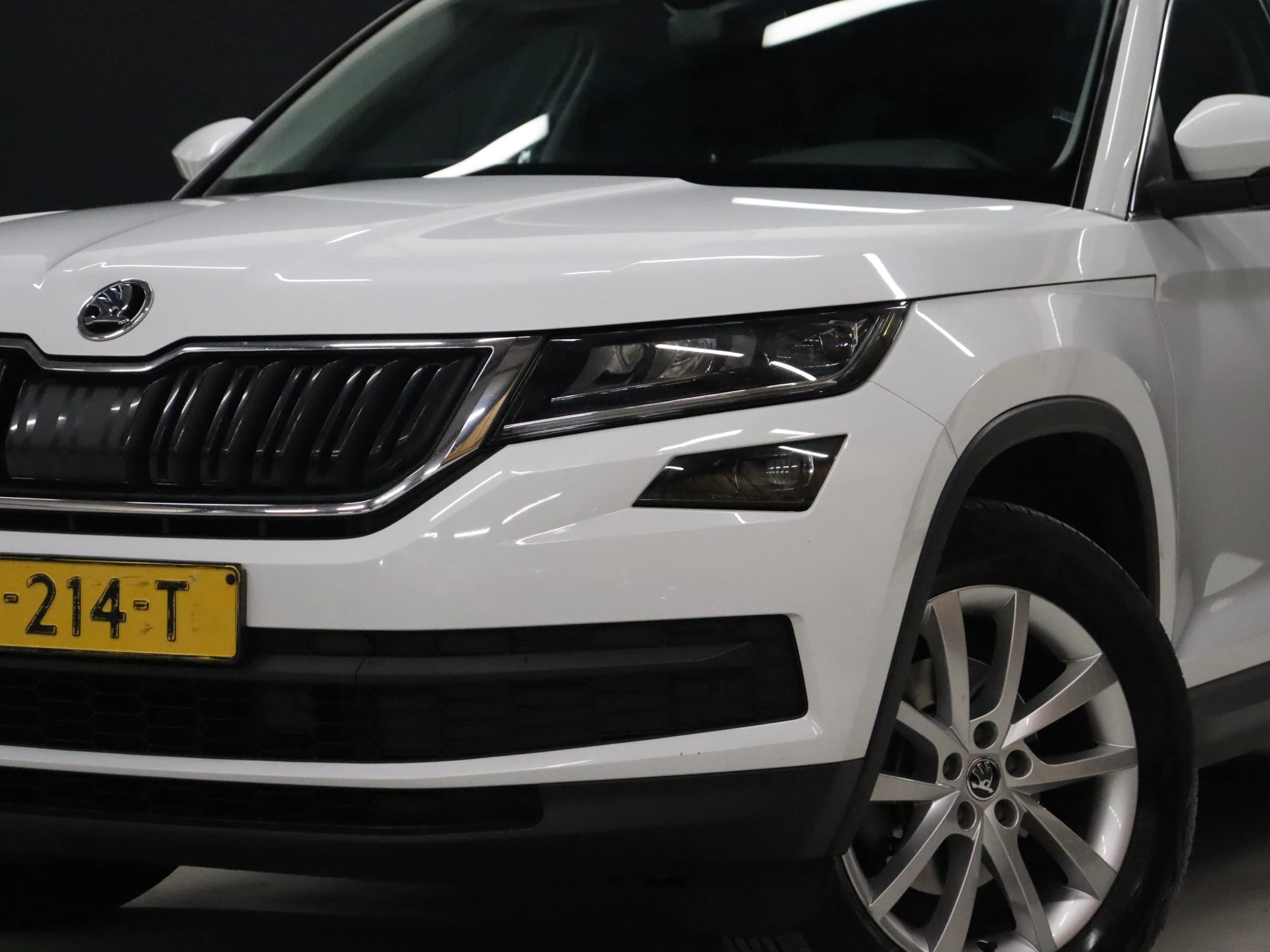 Hoofdafbeelding Škoda Kodiaq