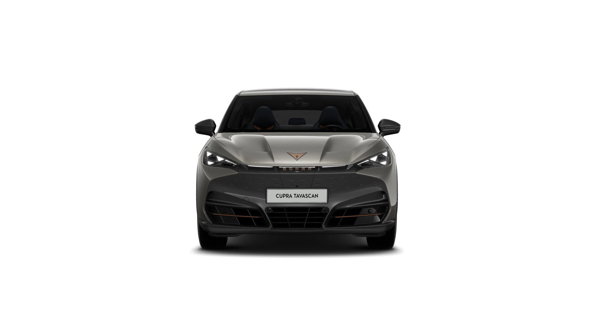 Hoofdafbeelding CUPRA Tavascan