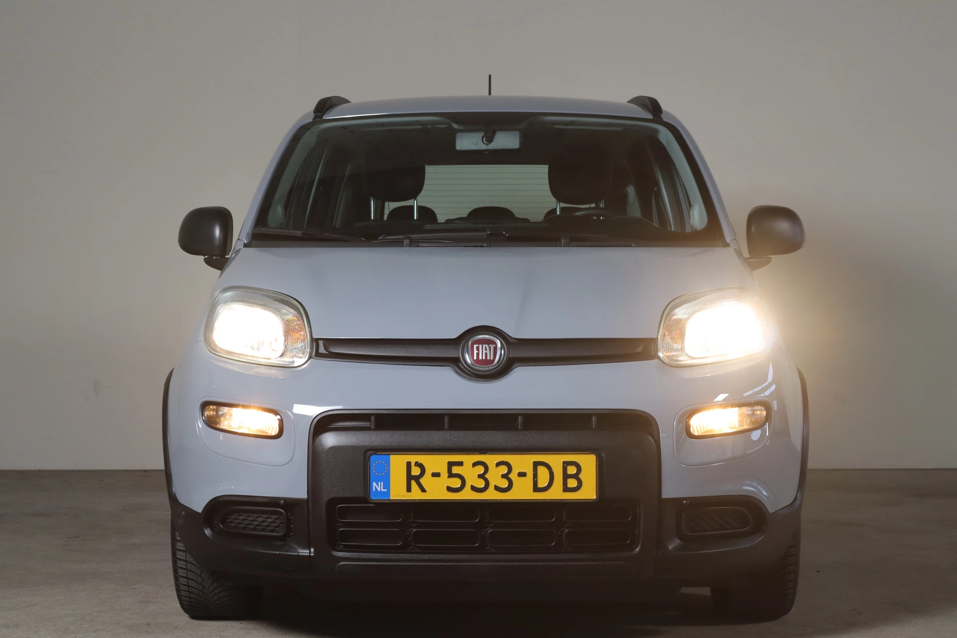 Hoofdafbeelding Fiat Panda