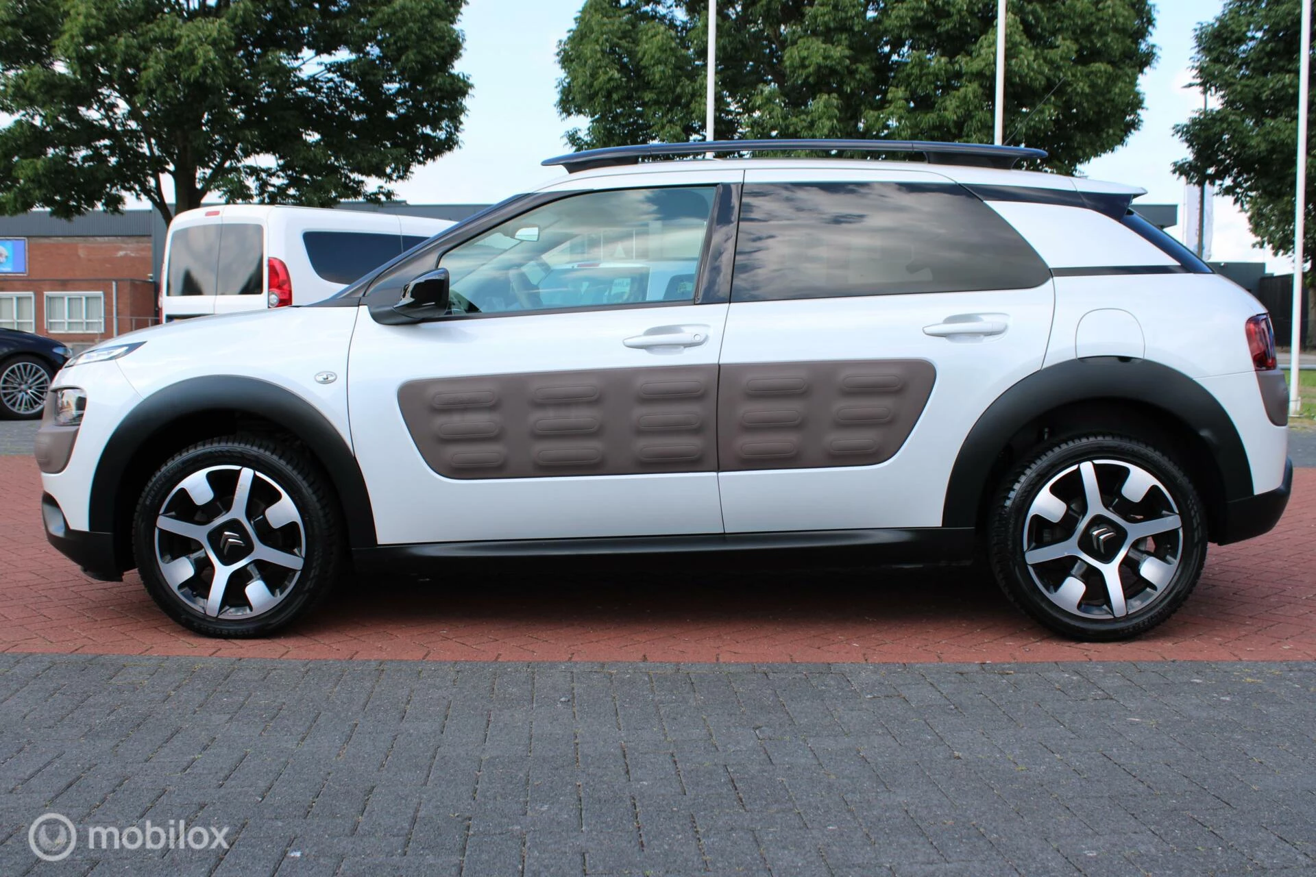 Hoofdafbeelding Citroën C4 Cactus