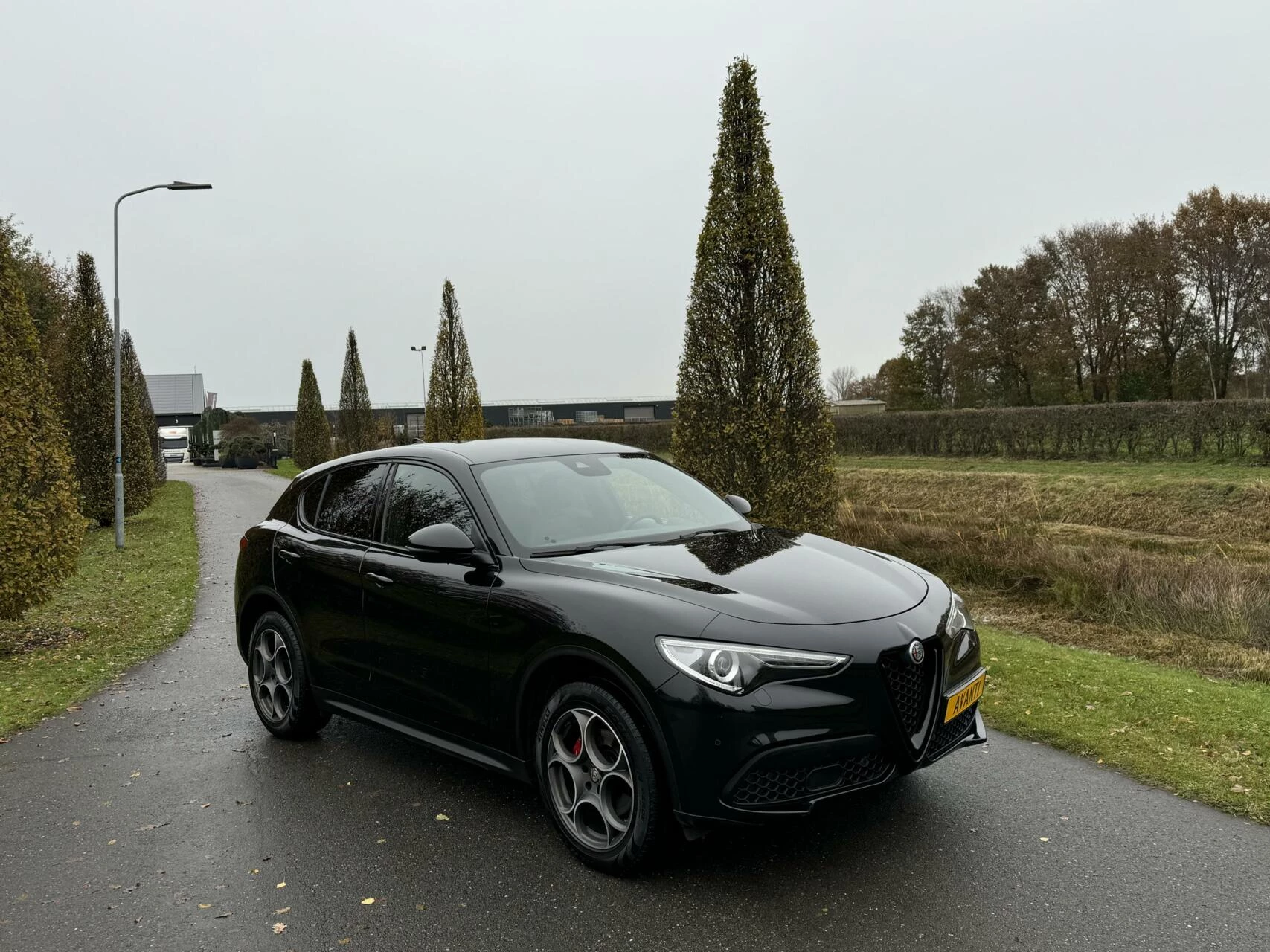 Hoofdafbeelding Alfa Romeo Stelvio