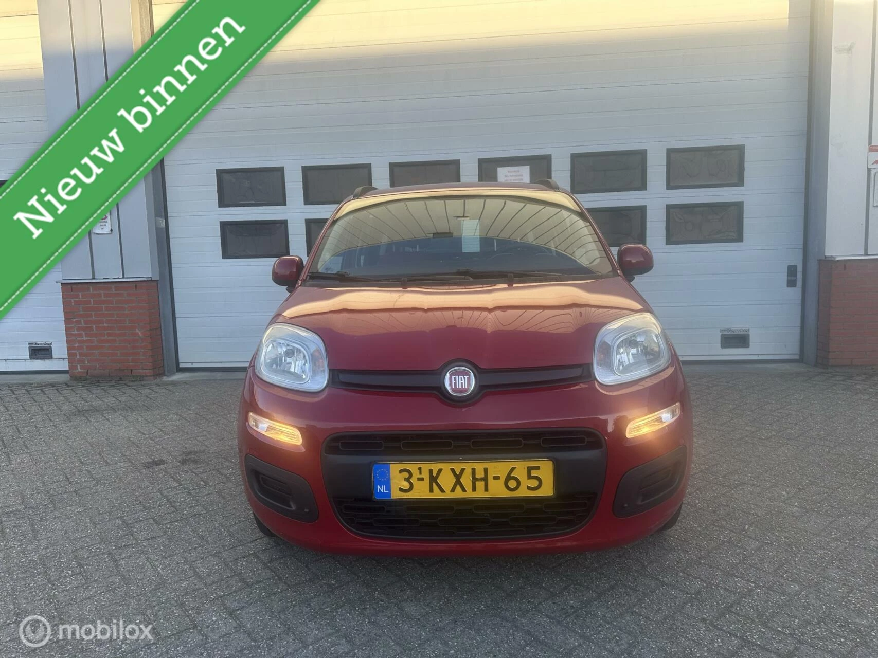 Hoofdafbeelding Fiat Panda