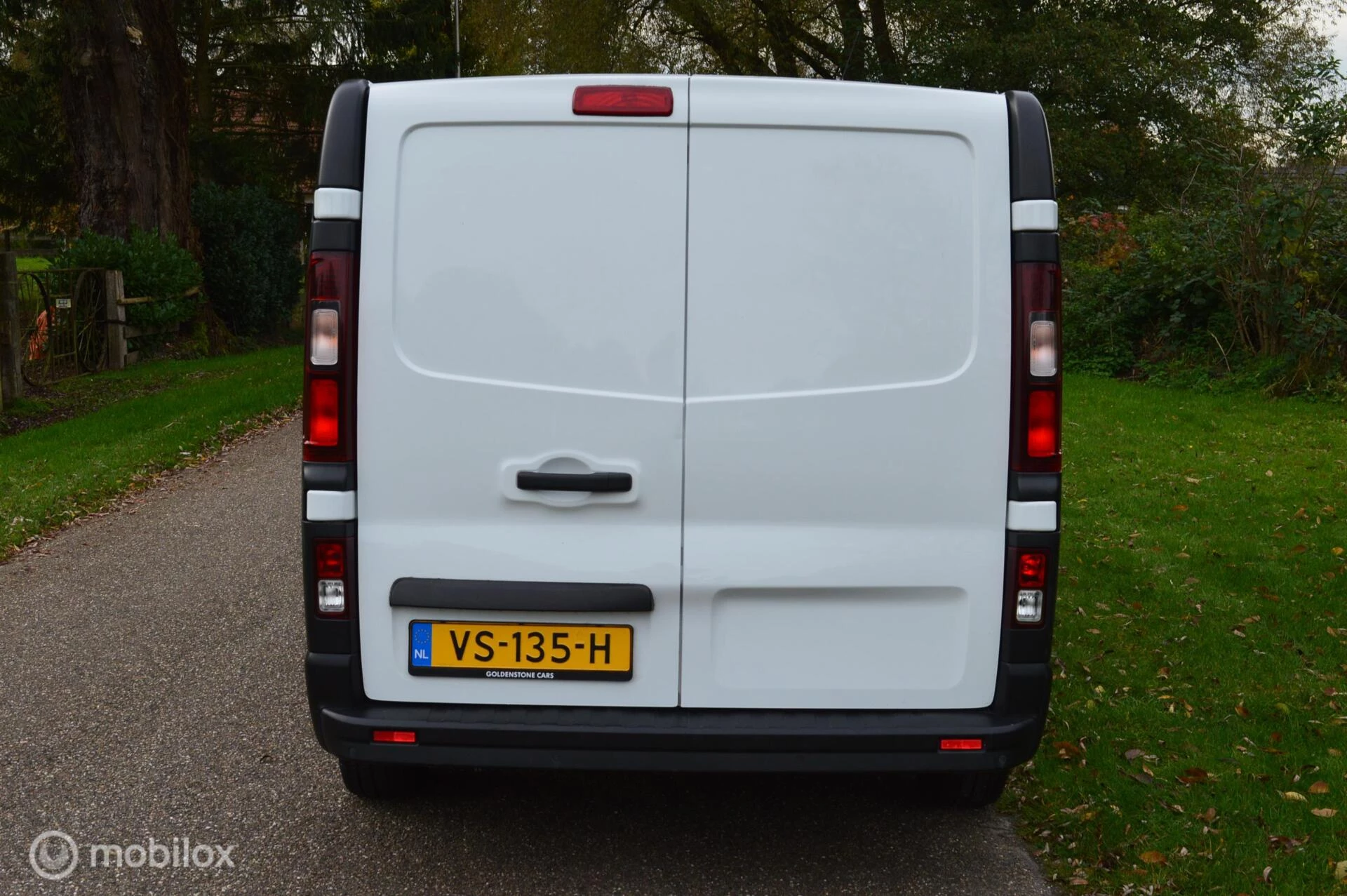 Hoofdafbeelding Renault Trafic
