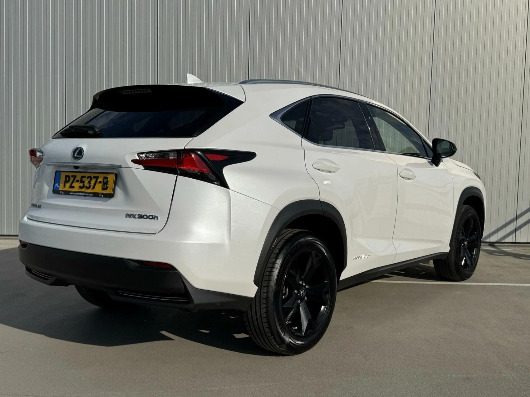 Hoofdafbeelding Lexus NX