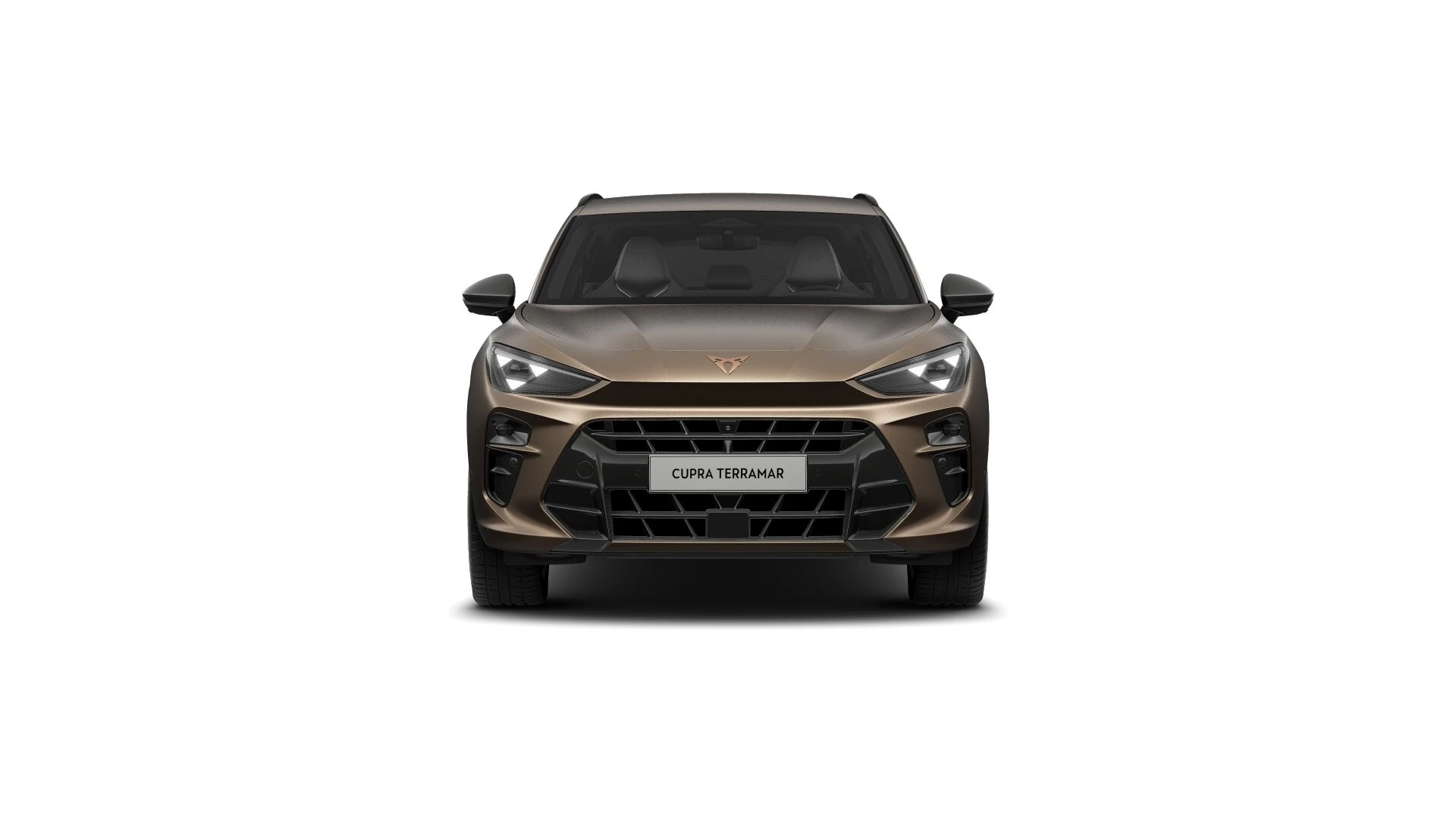 Hoofdafbeelding CUPRA Terramar