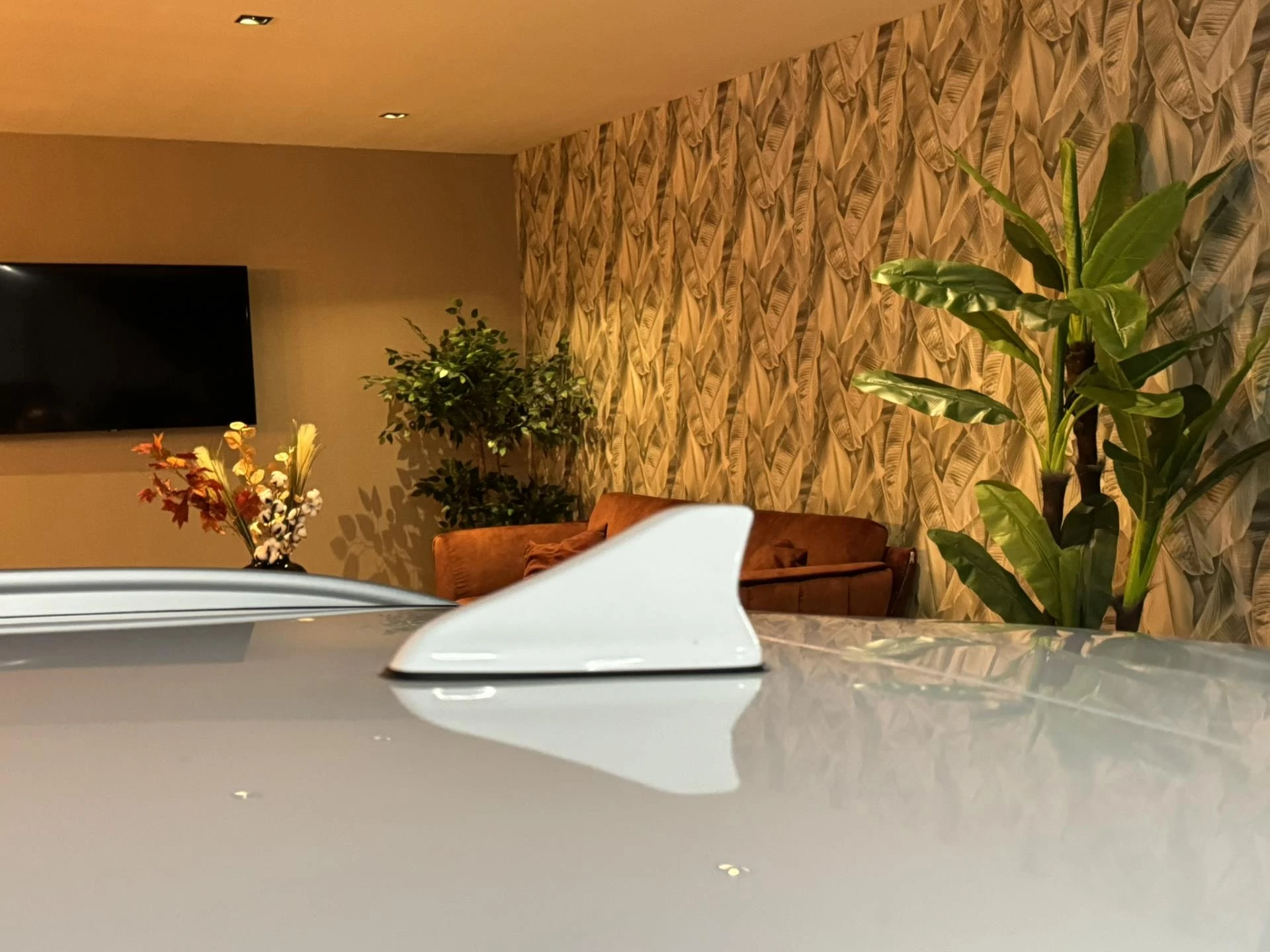 Hoofdafbeelding Kia XCeed