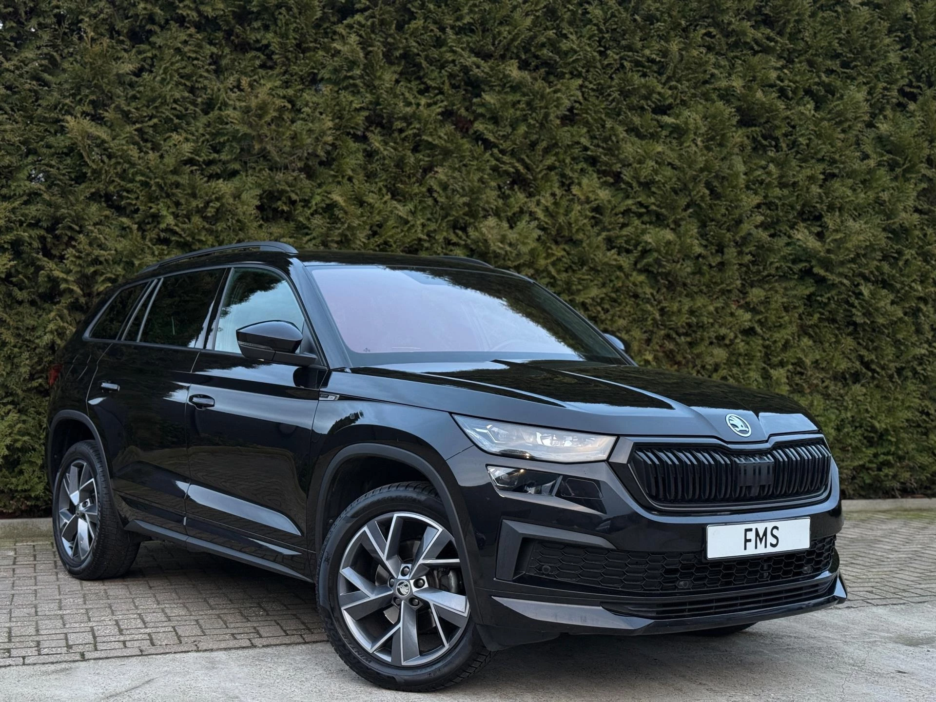 Hoofdafbeelding Škoda Kodiaq