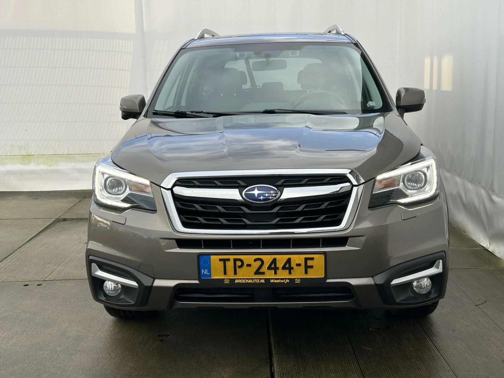 Hoofdafbeelding Subaru Forester