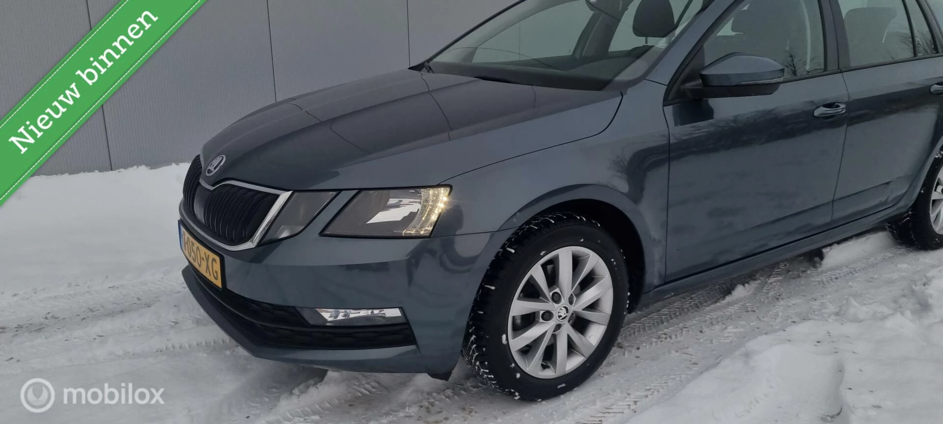 Hoofdafbeelding Škoda Octavia