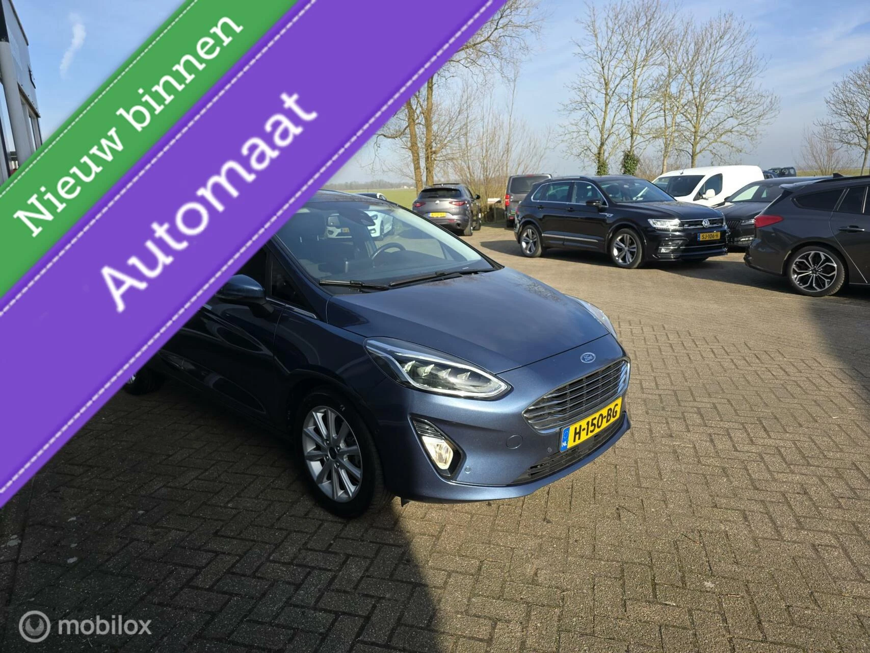 Hoofdafbeelding Ford Fiesta