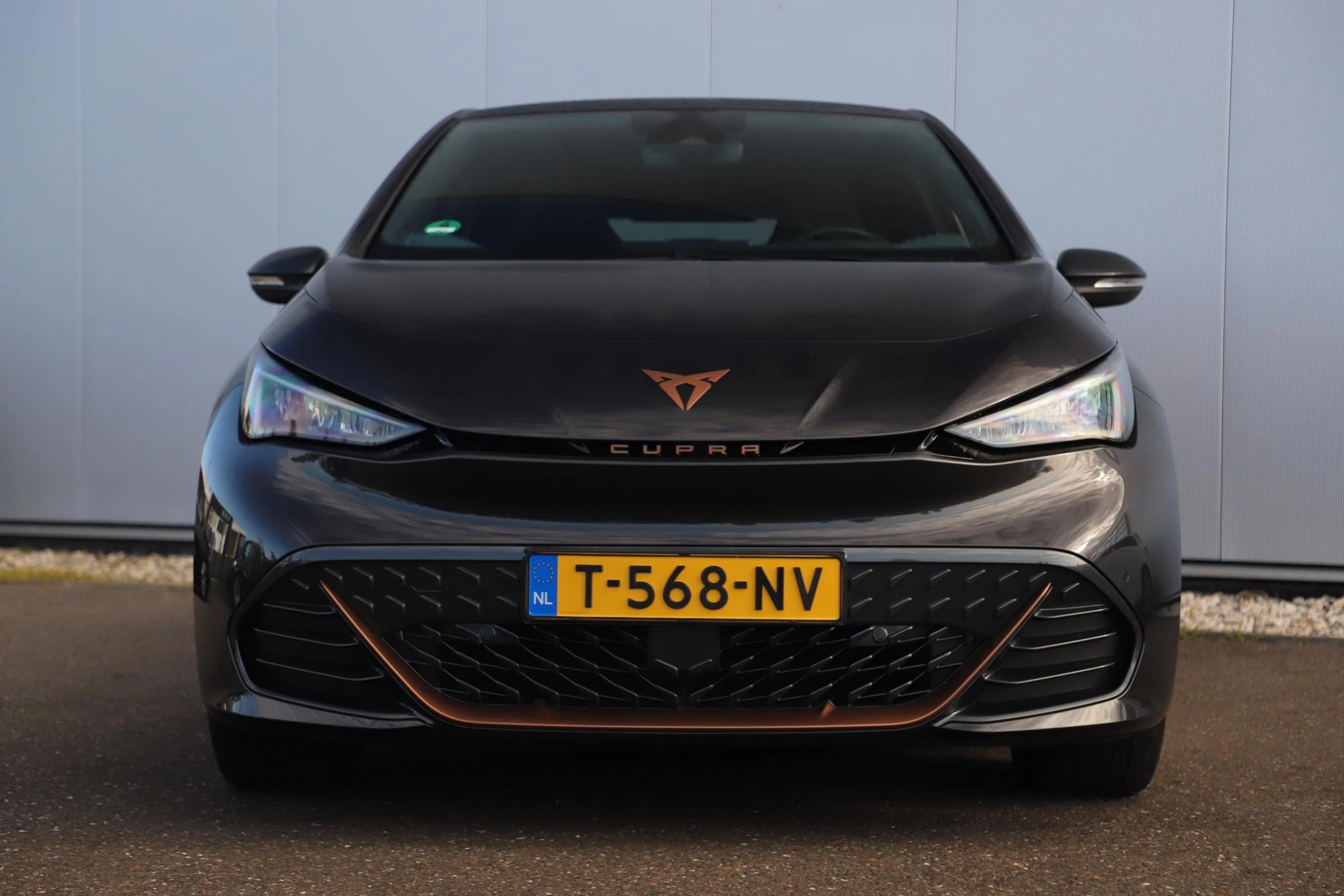 Hoofdafbeelding CUPRA Born