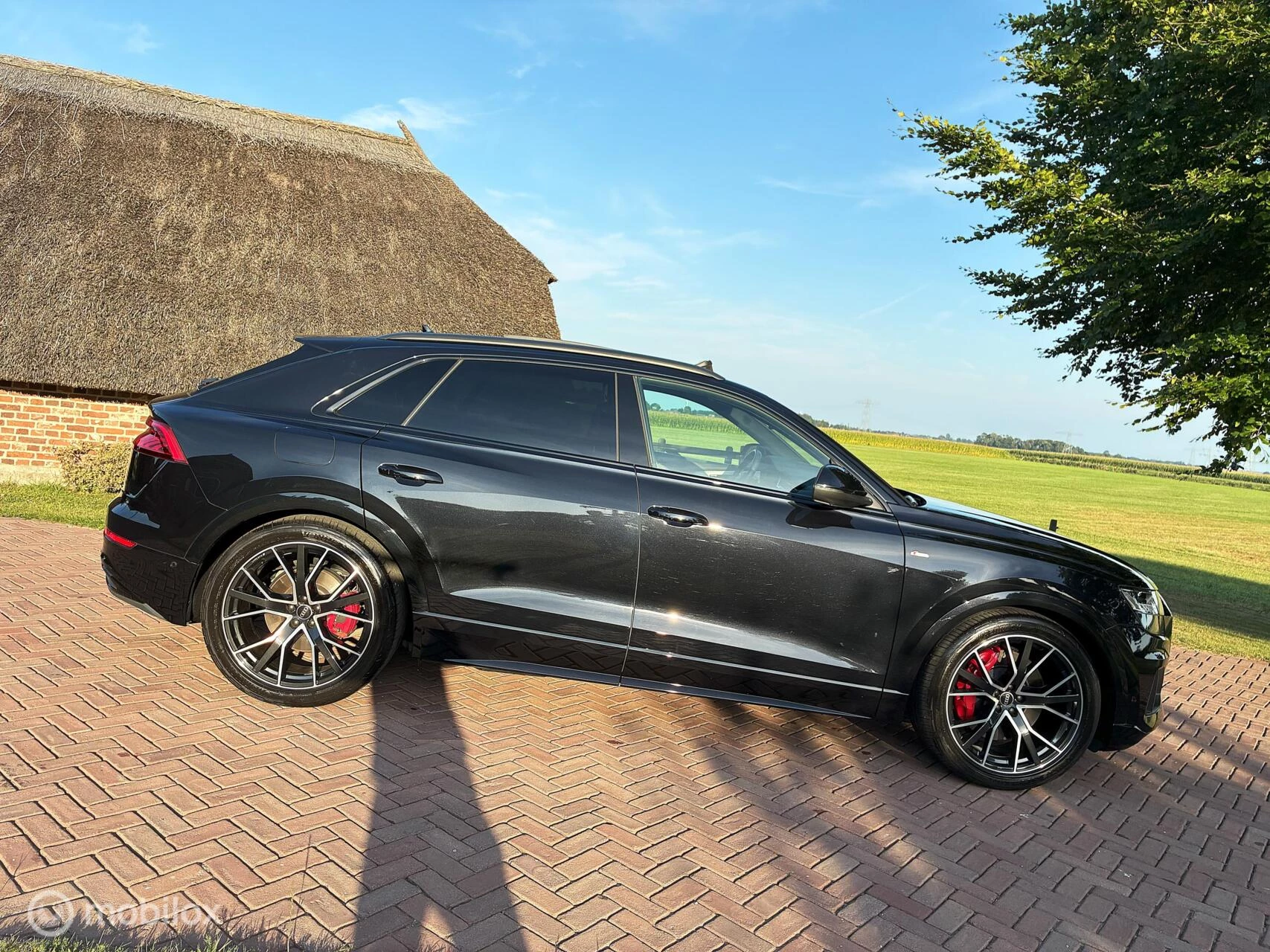 Hoofdafbeelding Audi Q8