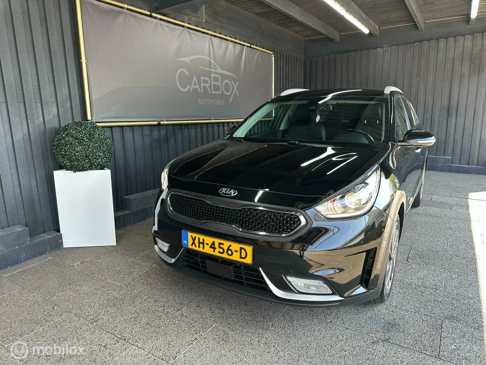 Hoofdafbeelding Kia Niro