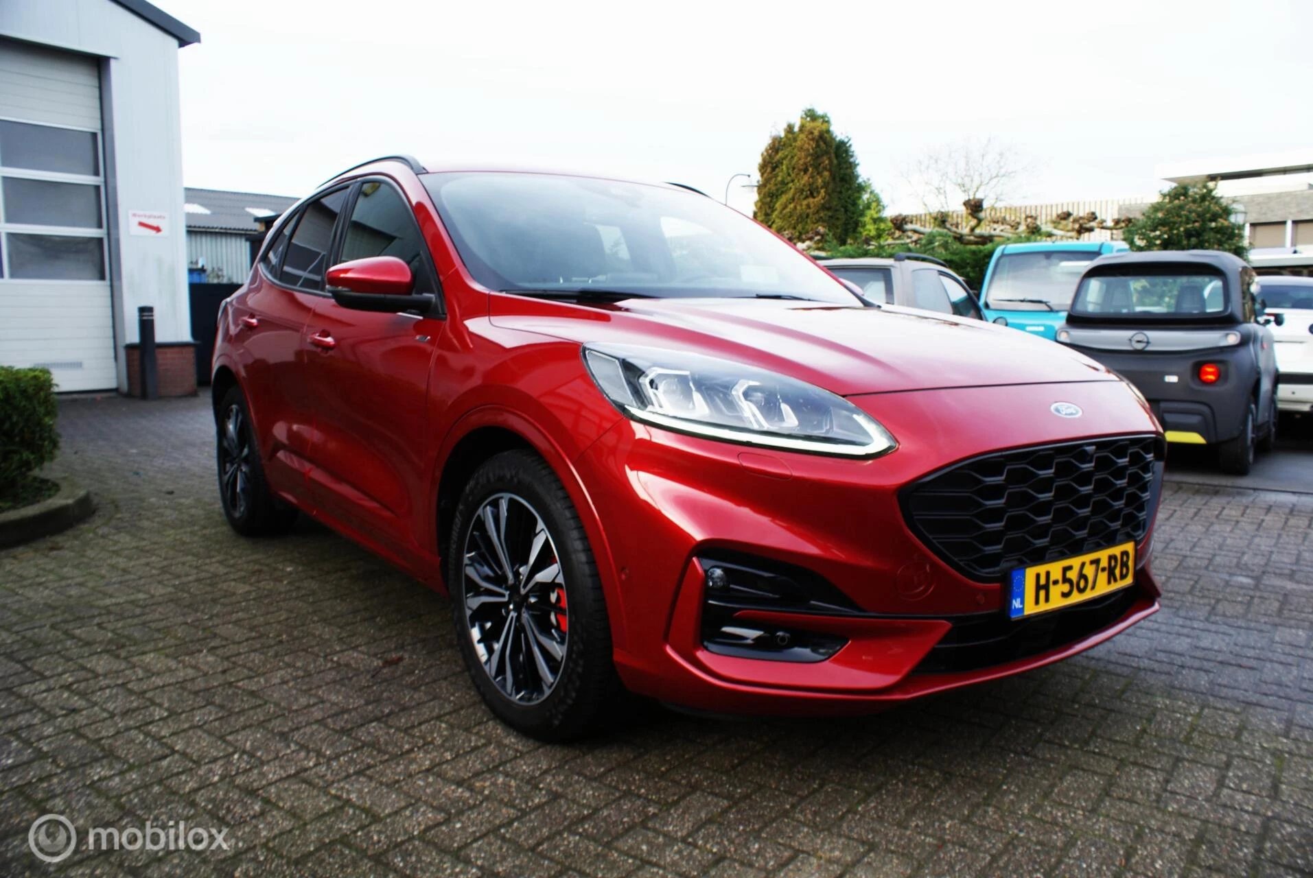 Hoofdafbeelding Ford Kuga