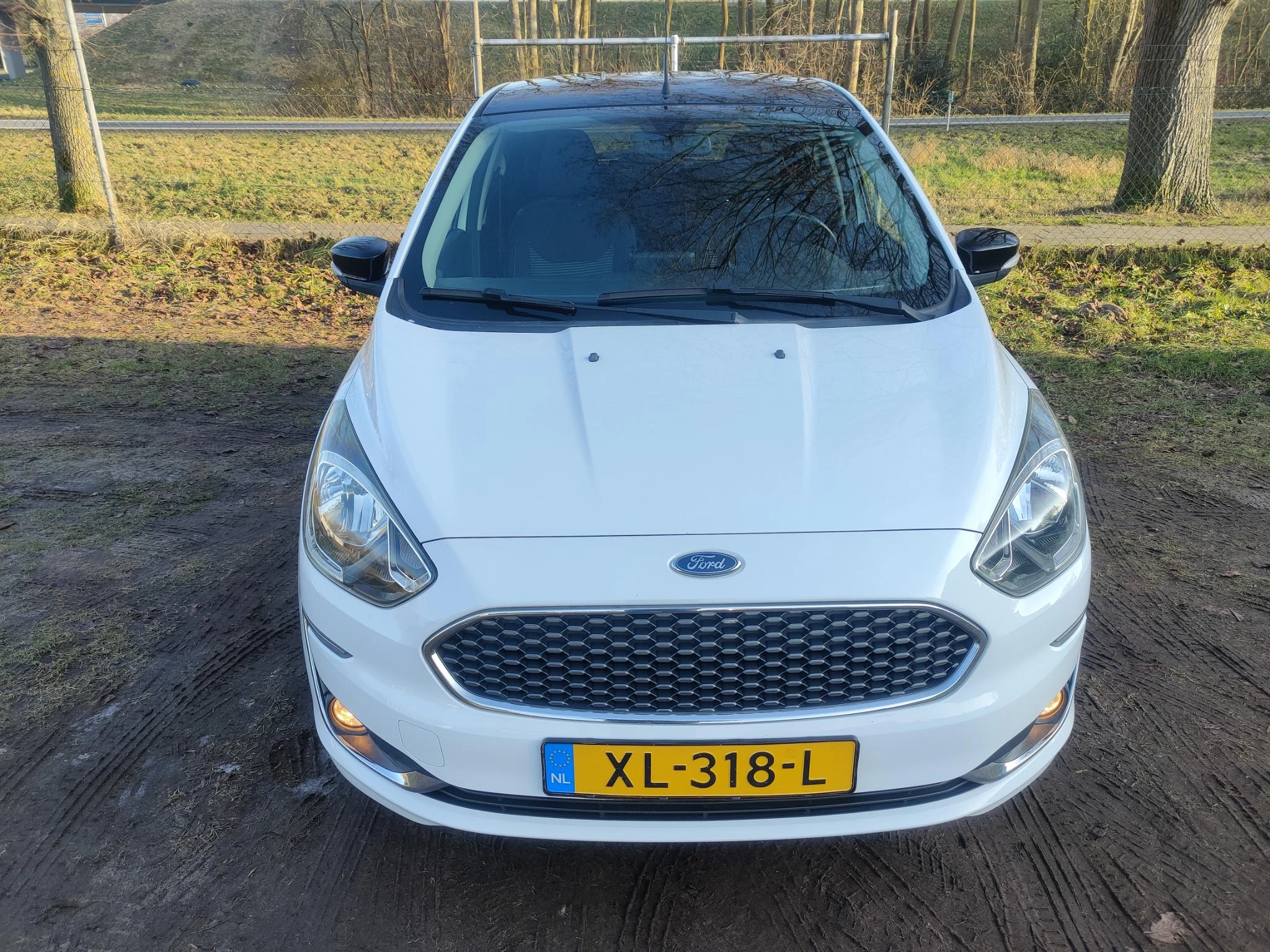 Hoofdafbeelding Ford Ka