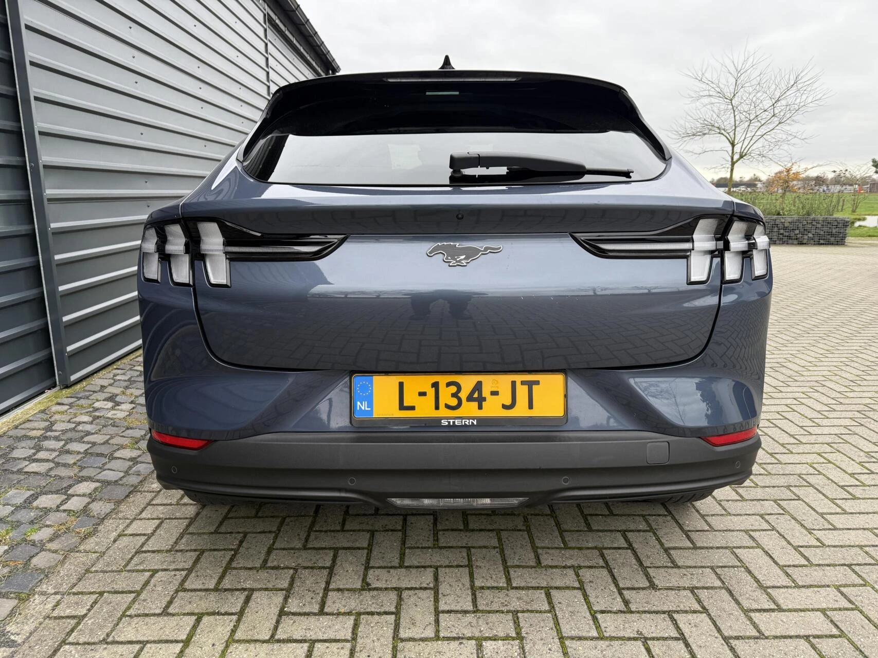 Hoofdafbeelding Ford Mustang Mach-E