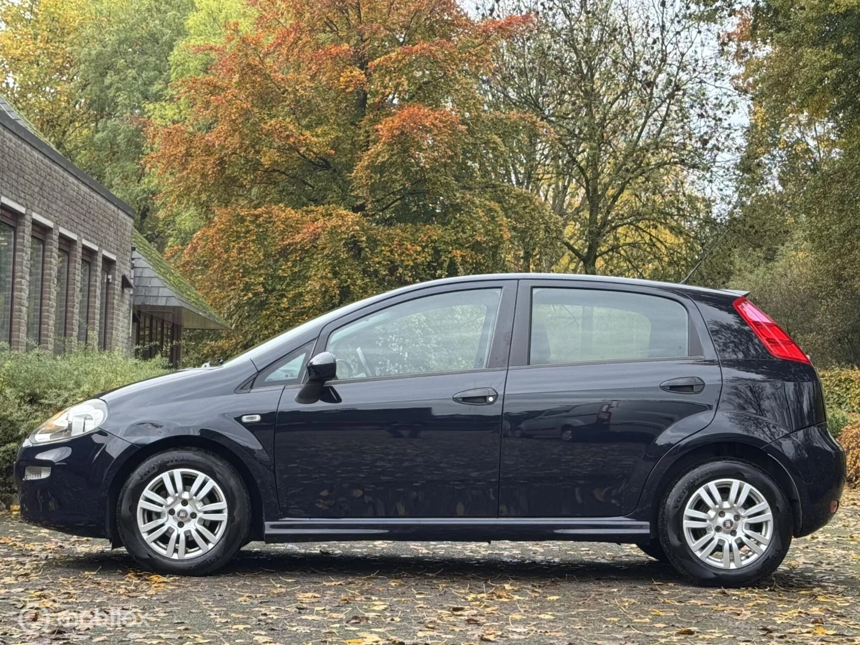 Hoofdafbeelding Fiat Punto