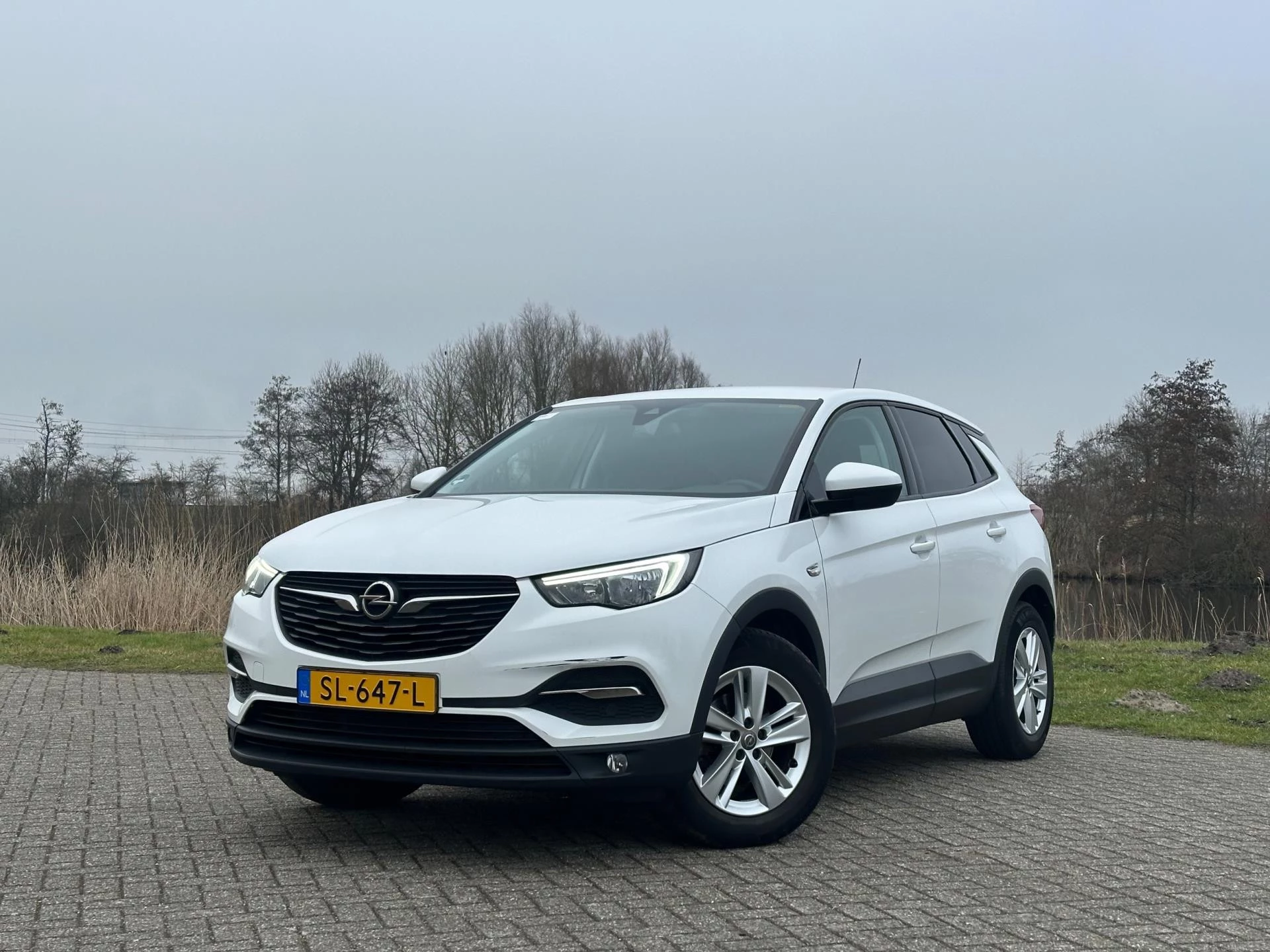 Hoofdafbeelding Opel Grandland X