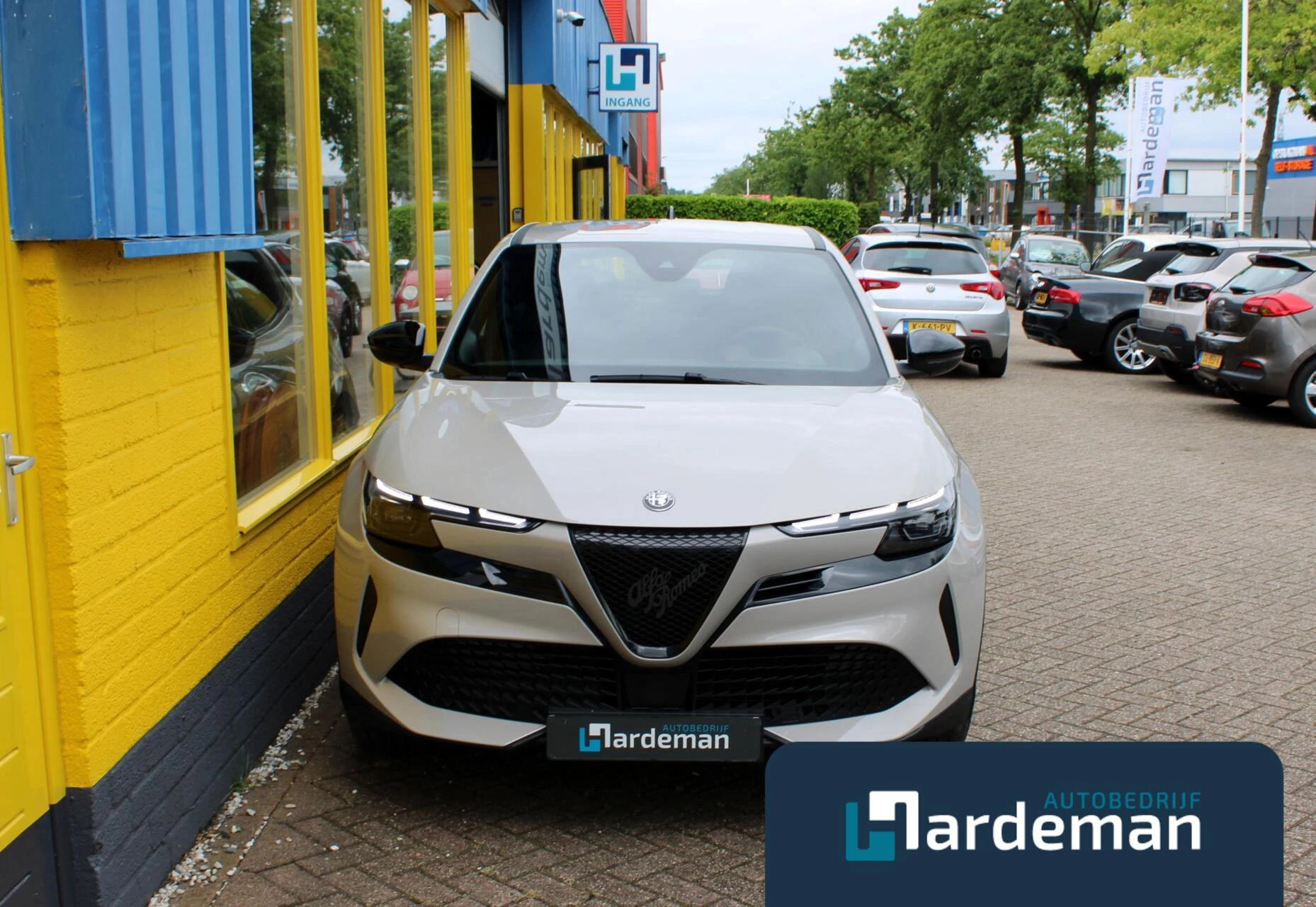 Hoofdafbeelding Alfa Romeo Junior
