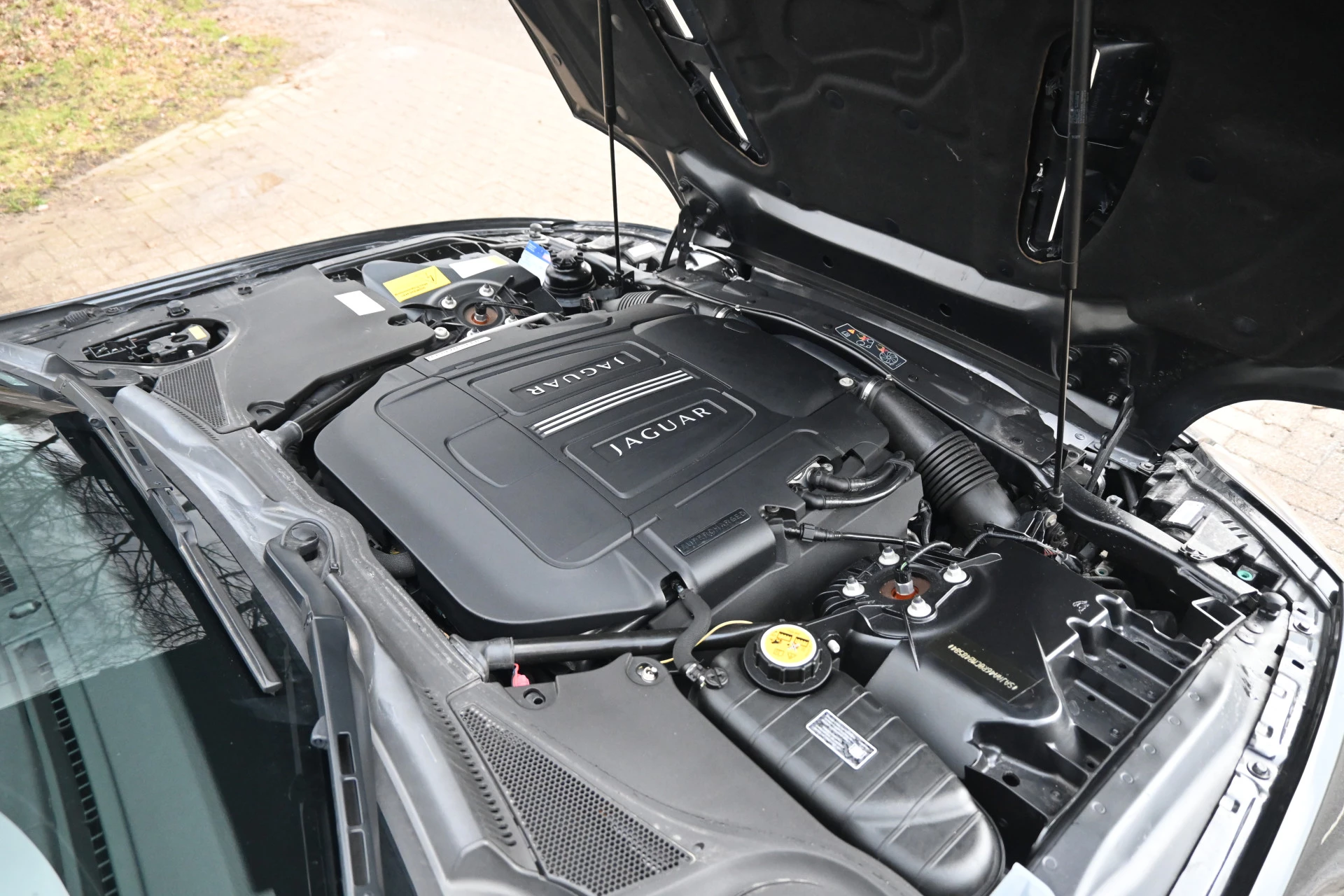 Hoofdafbeelding Jaguar XK