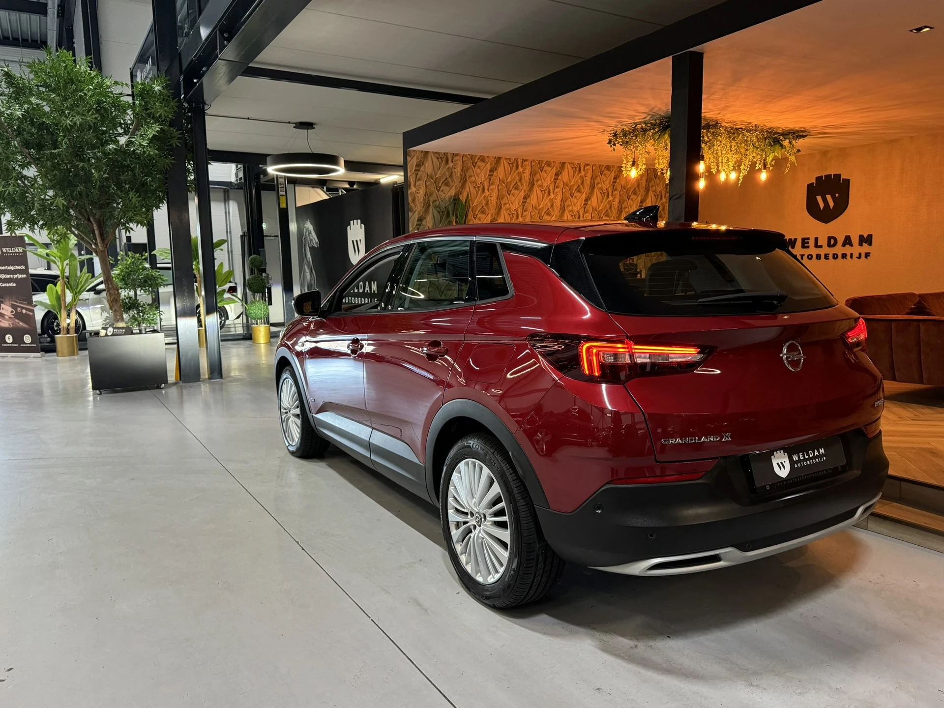 Hoofdafbeelding Opel Grandland X