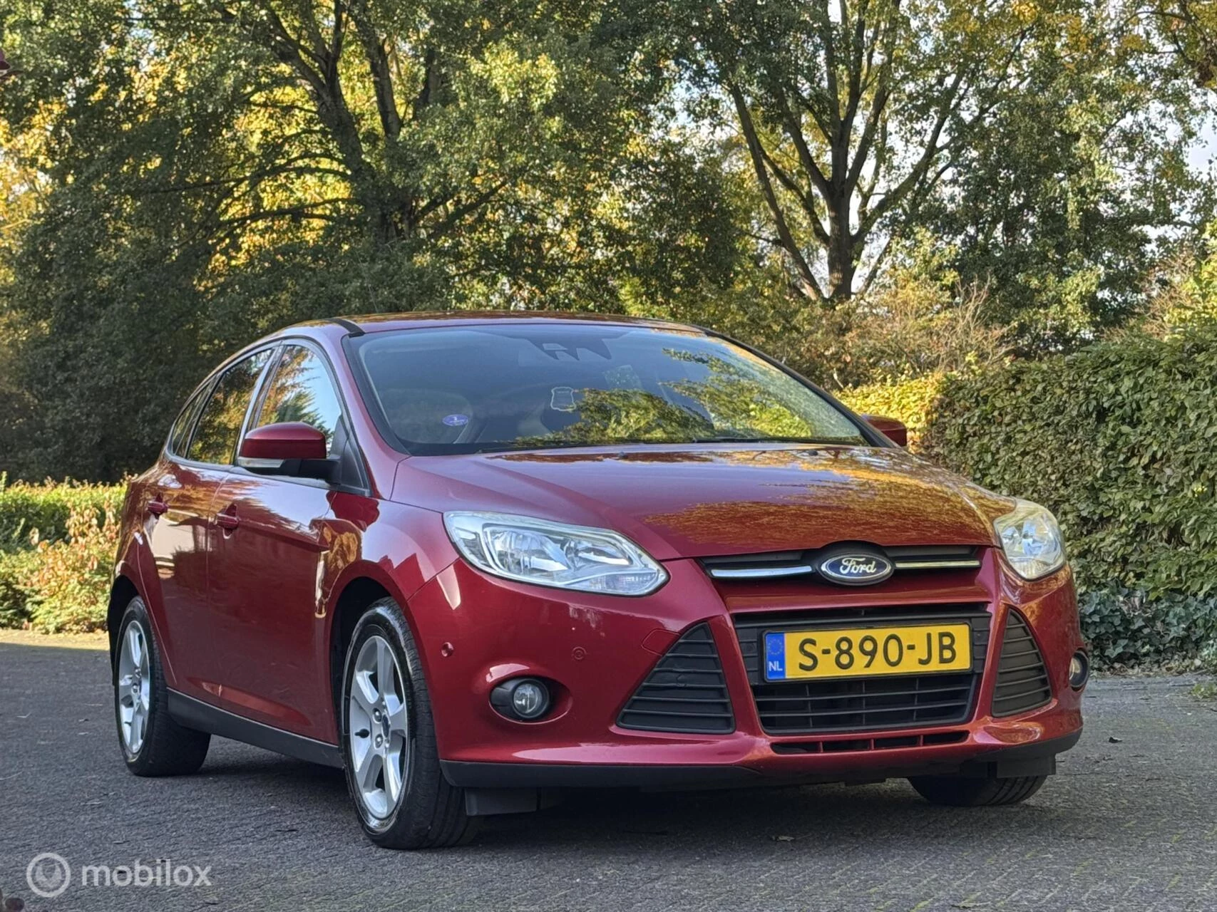 Hoofdafbeelding Ford Focus