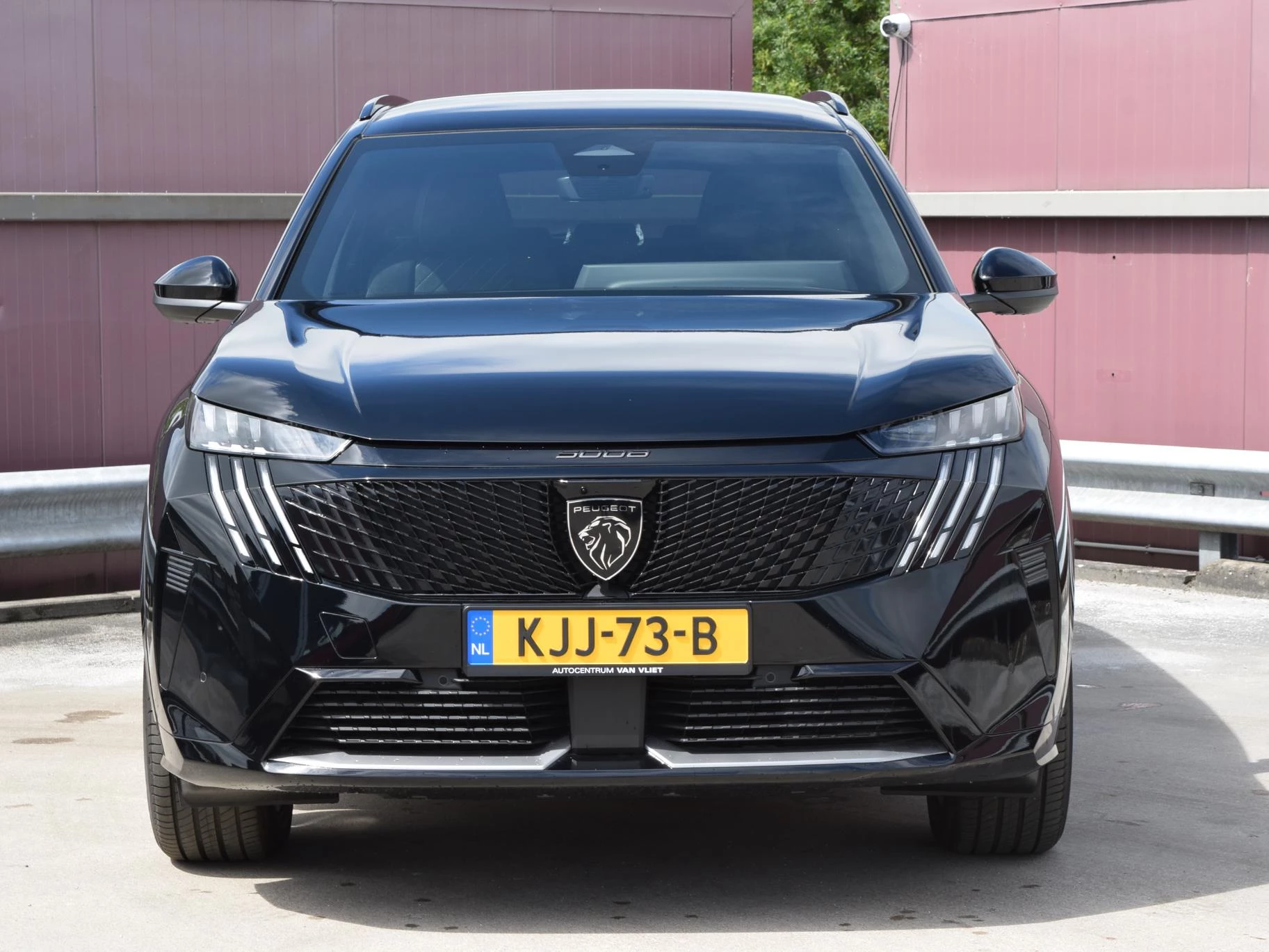 Hoofdafbeelding Peugeot e-5008