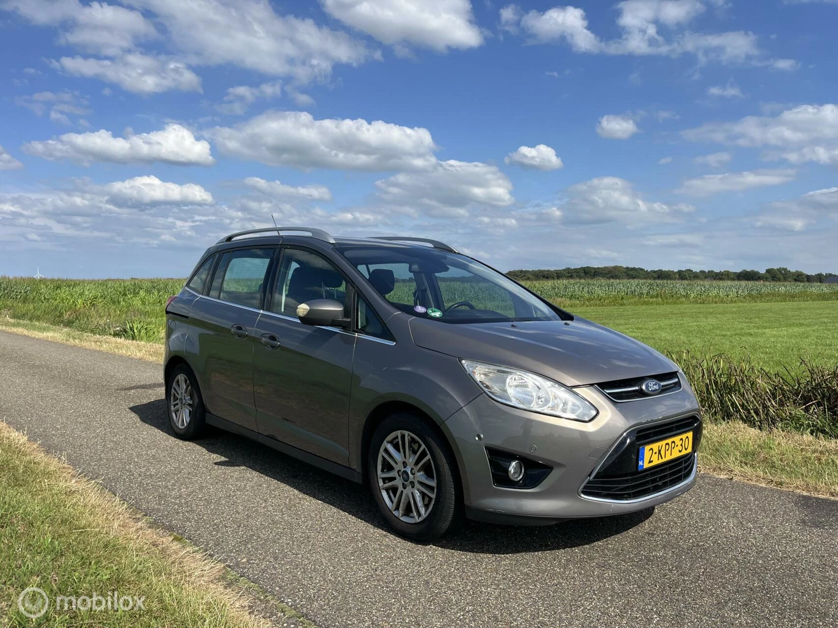 Hoofdafbeelding Ford Grand C-Max